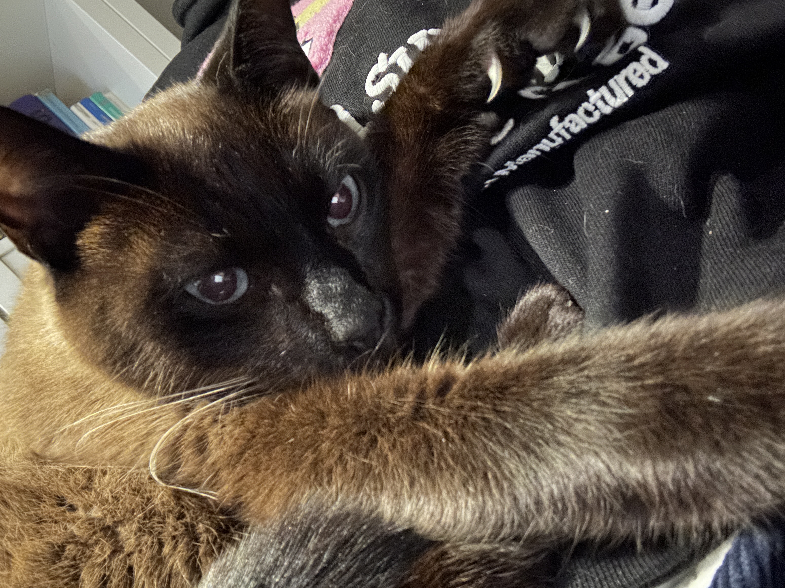 image-0