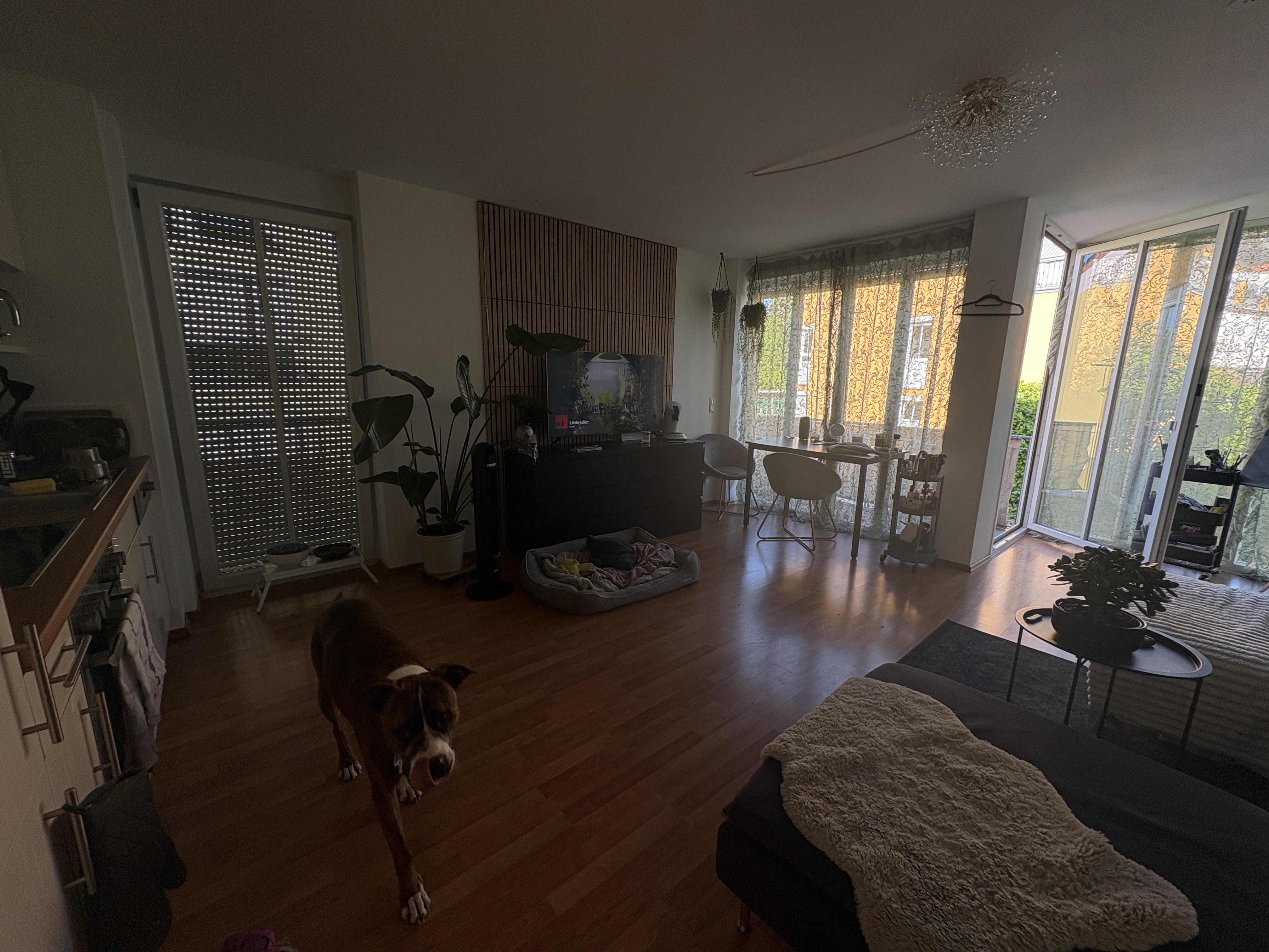 image-14