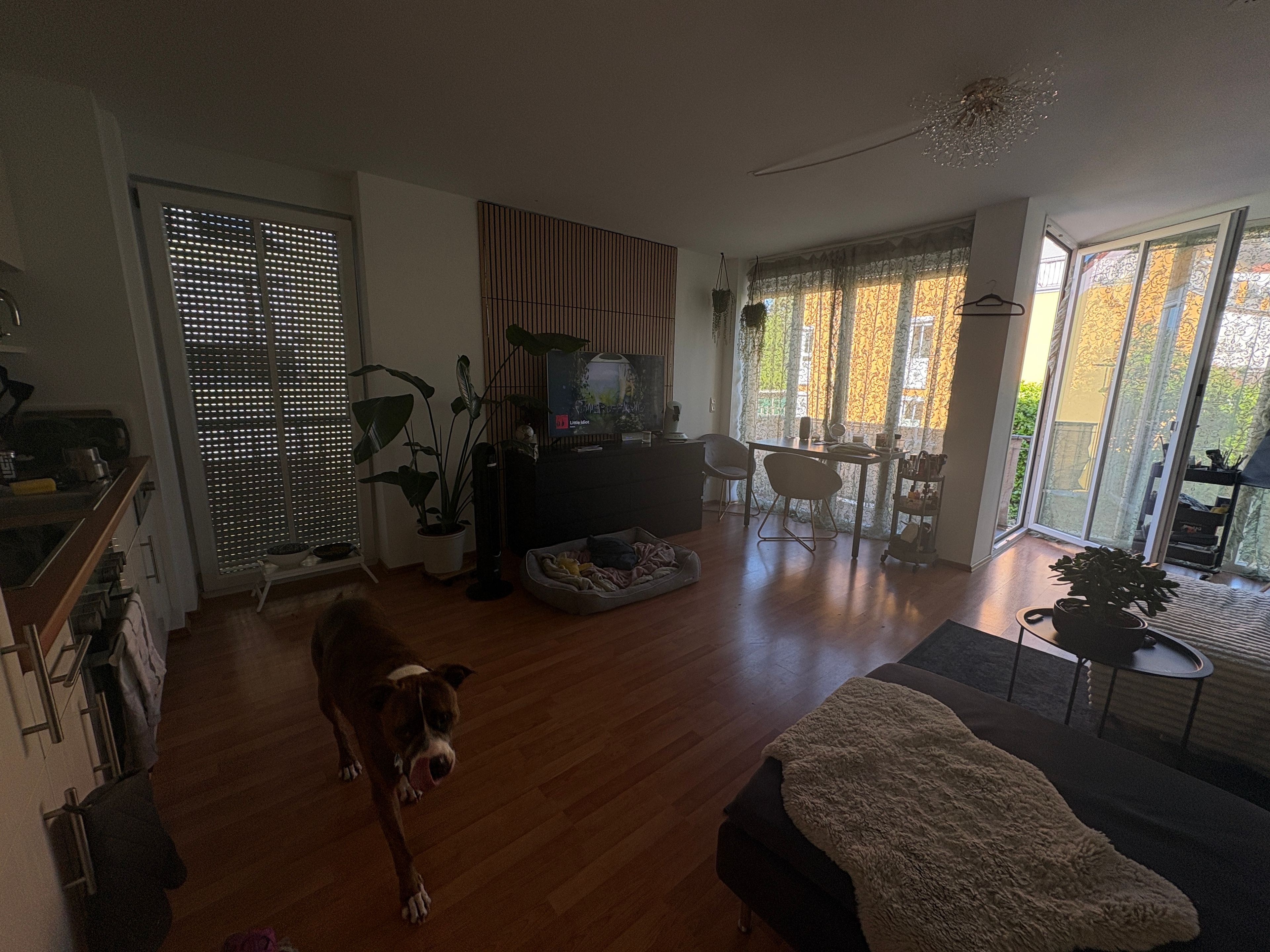 image-14