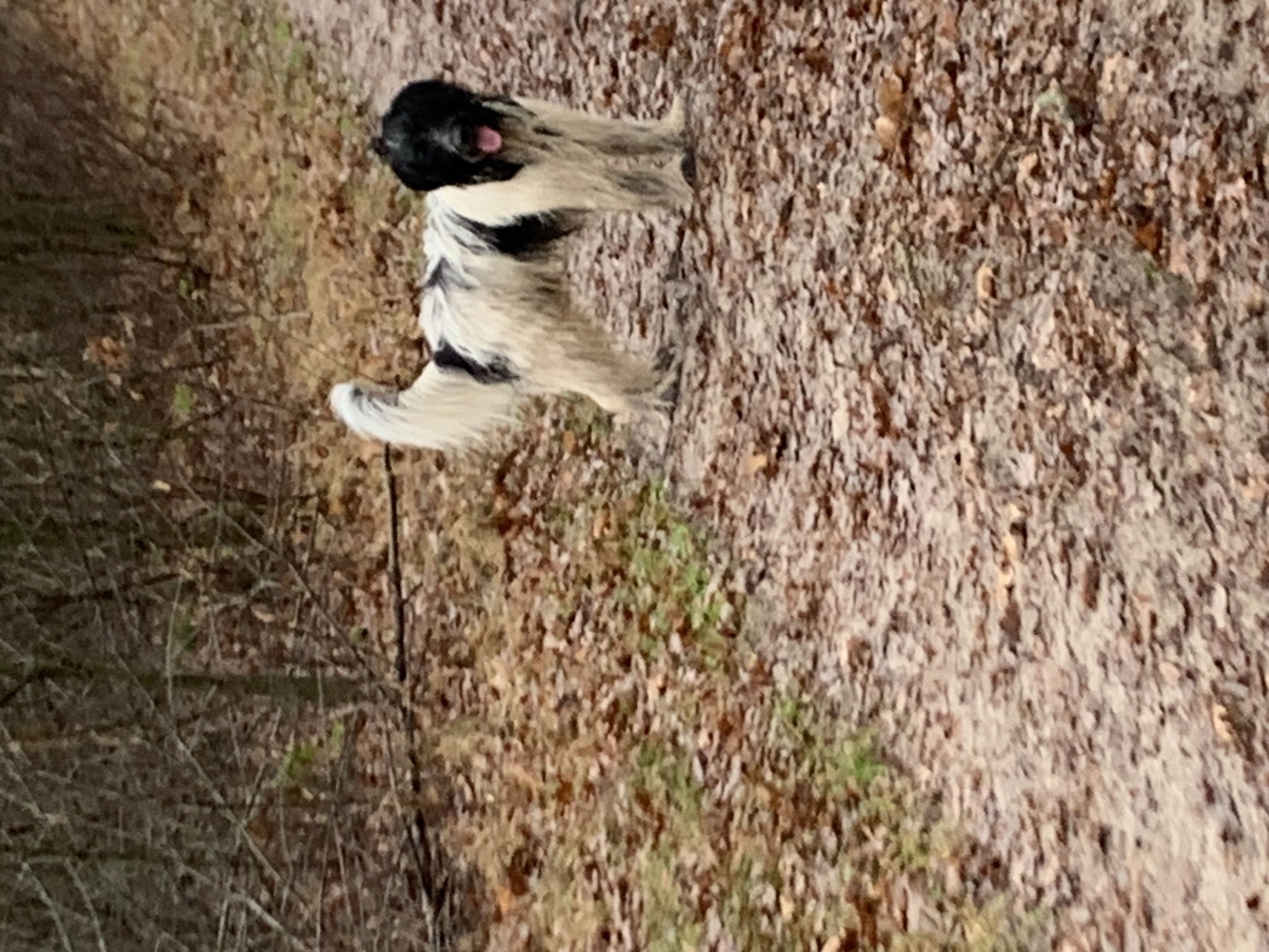 image-10