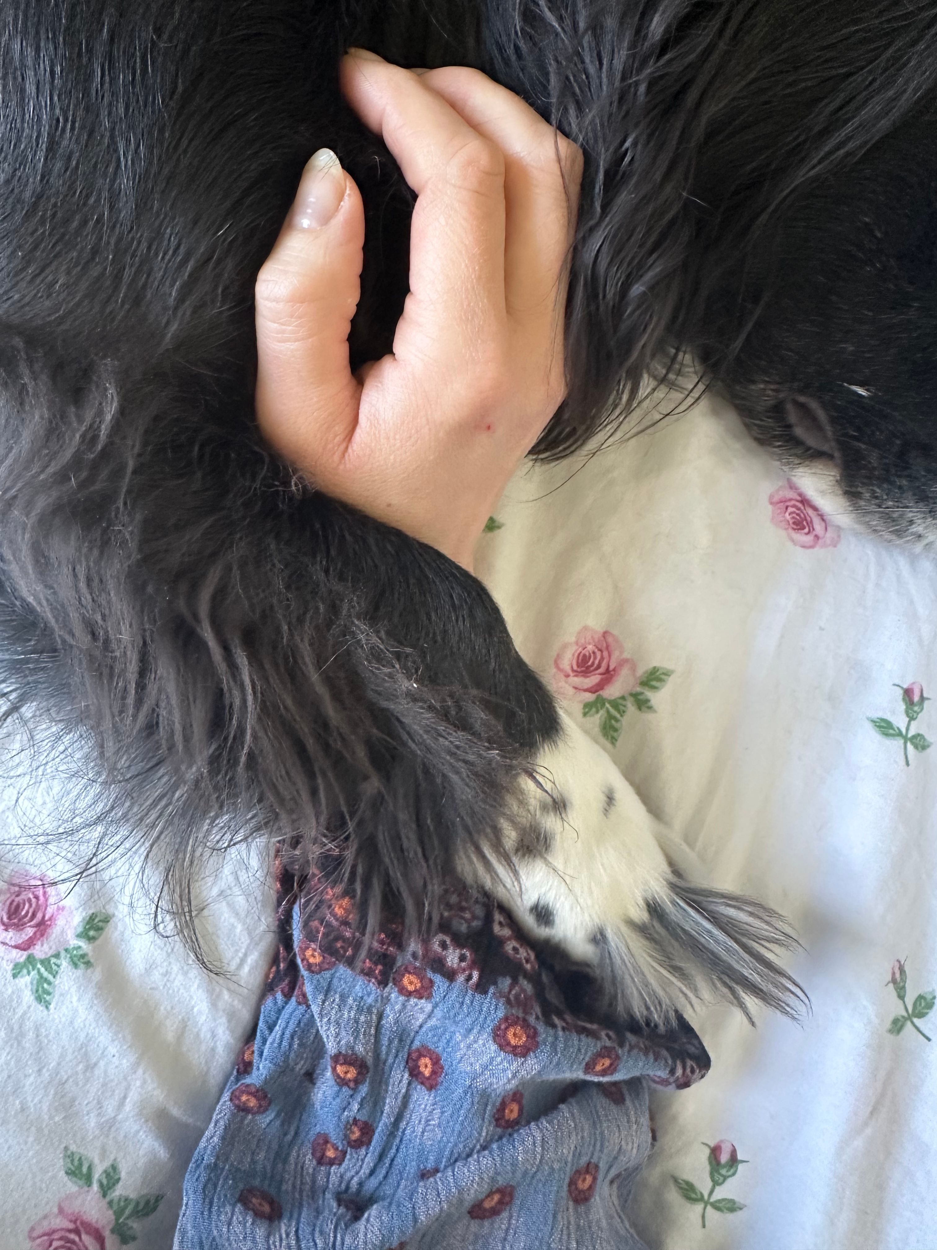 image-6