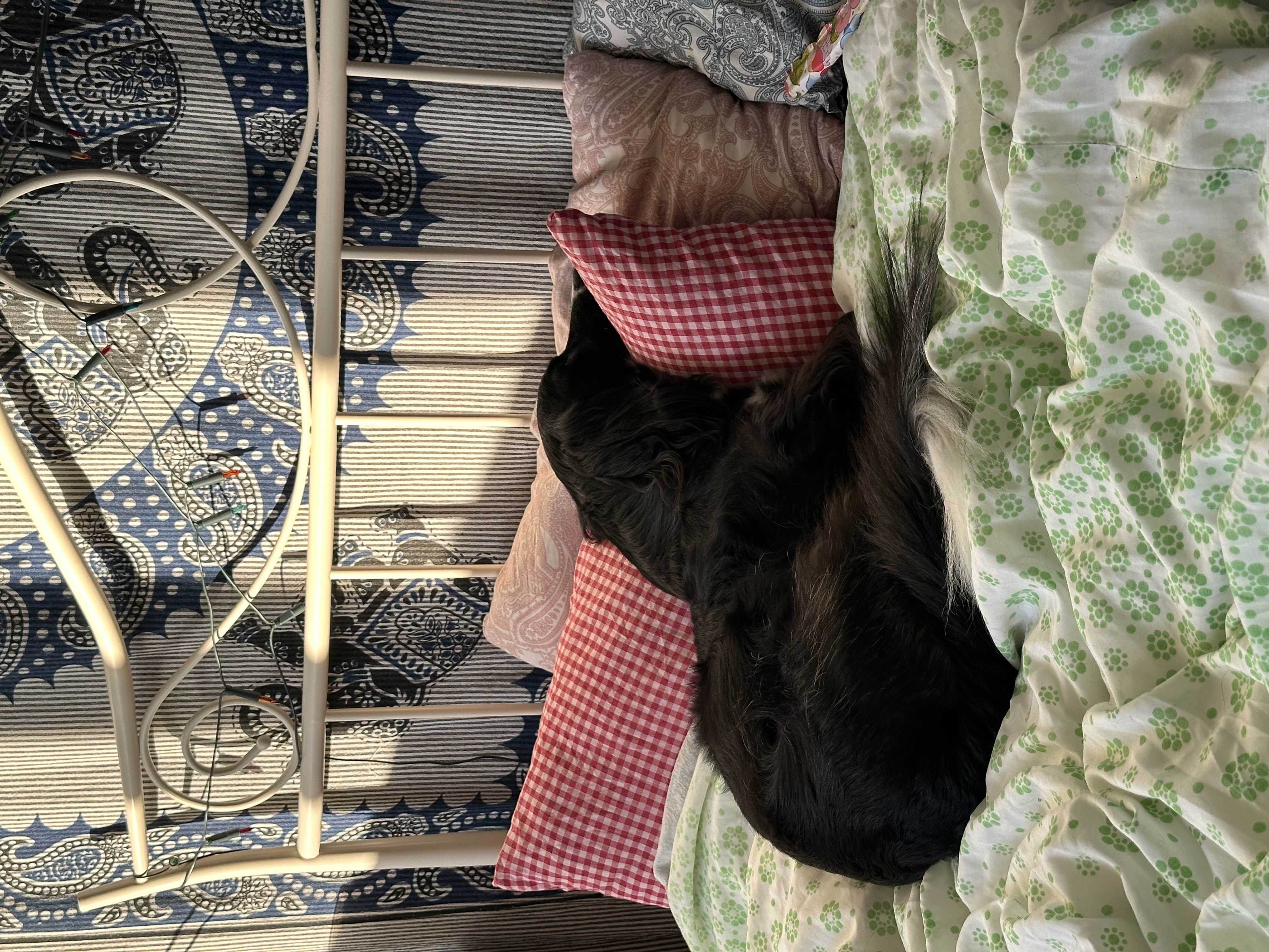 image-10