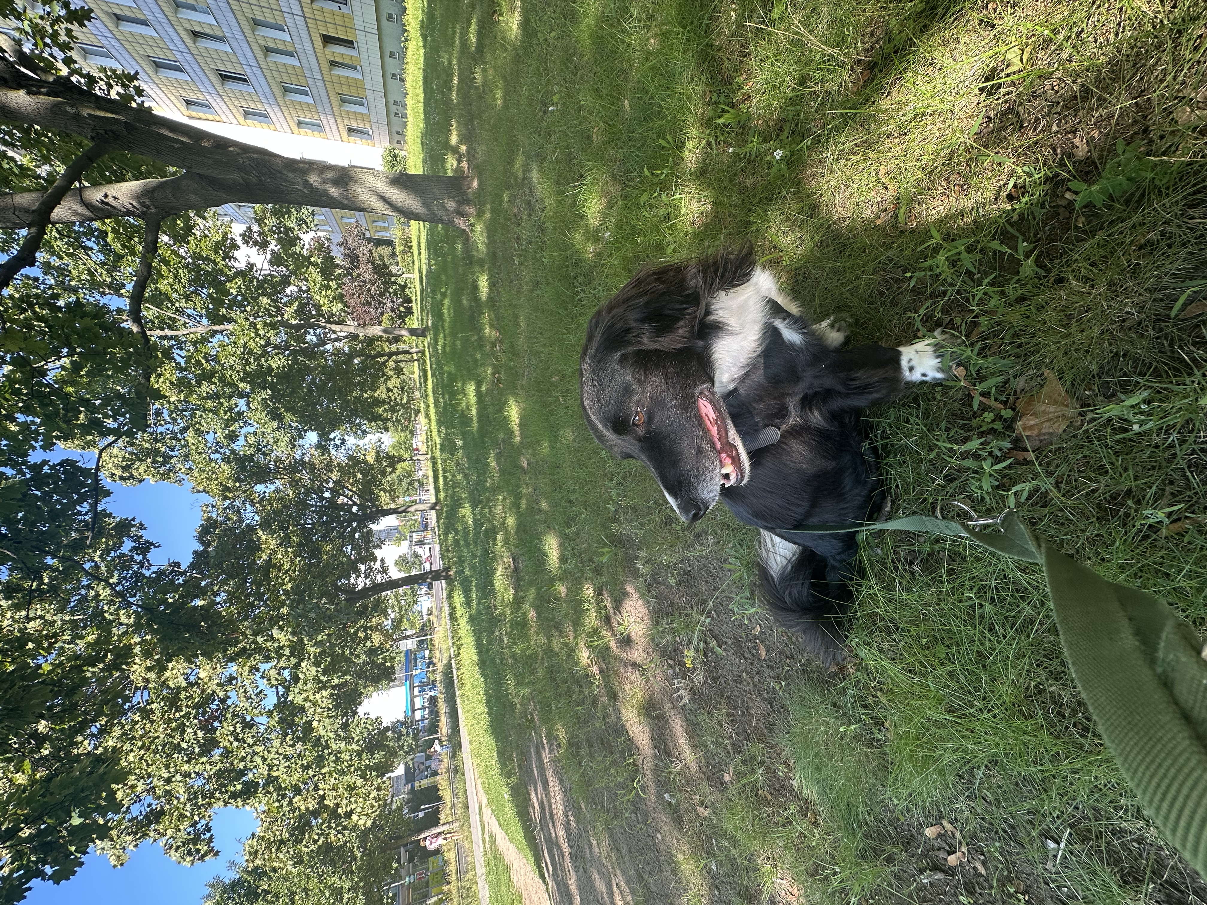 image-13
