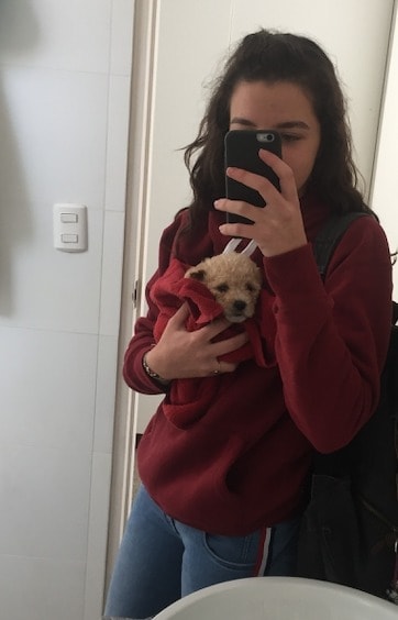 image-9