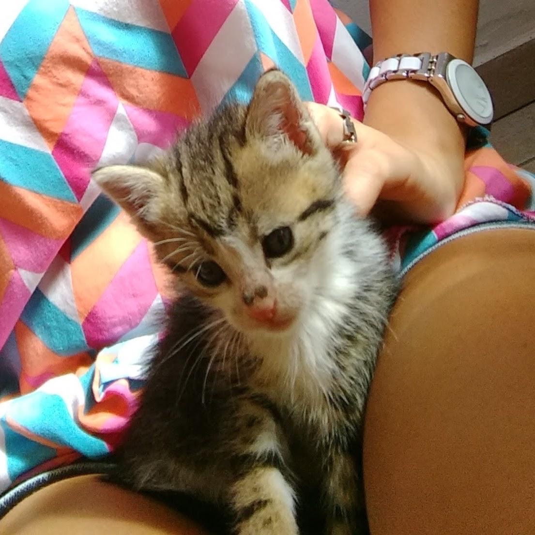 Pepi