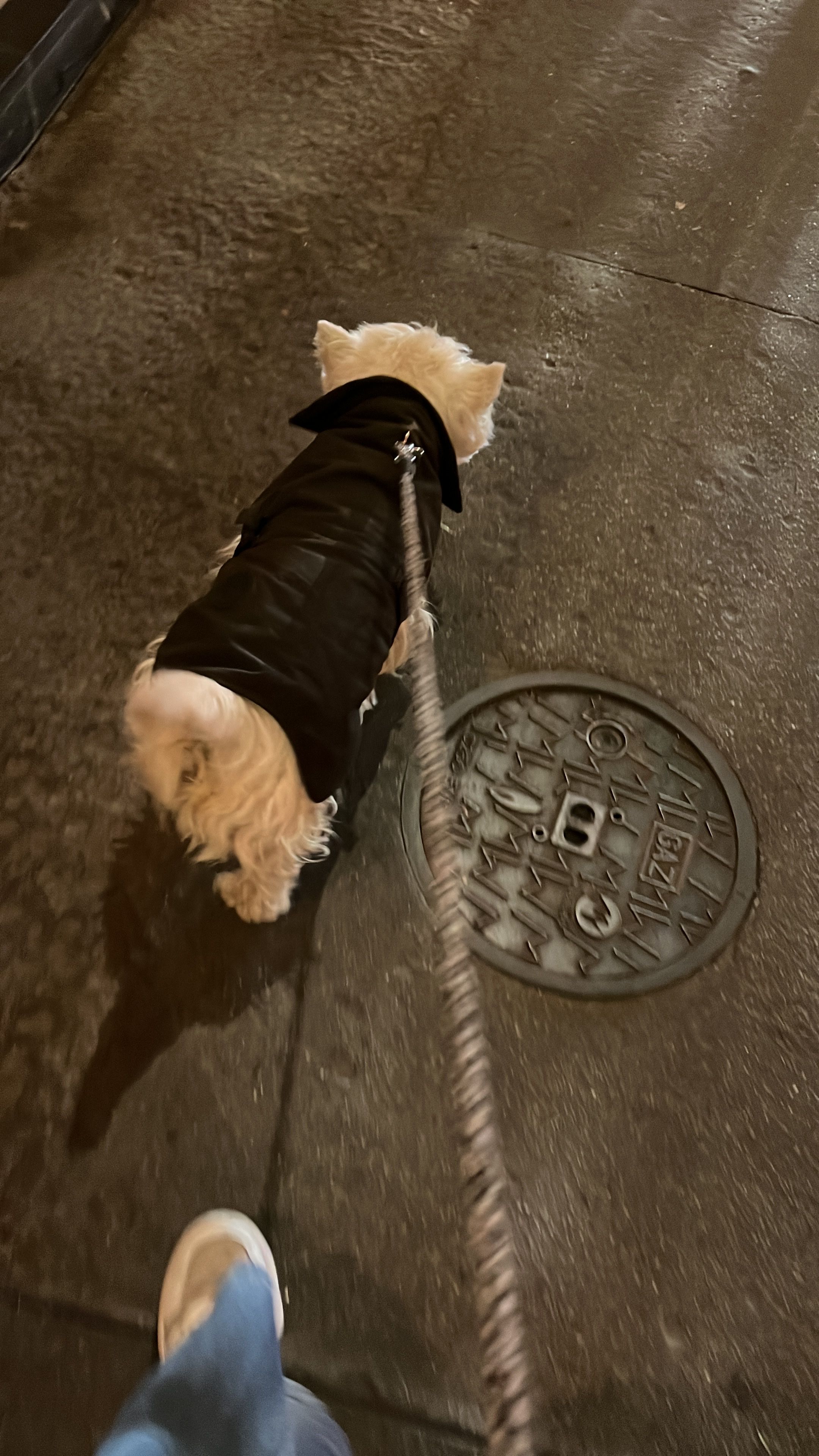 image-10