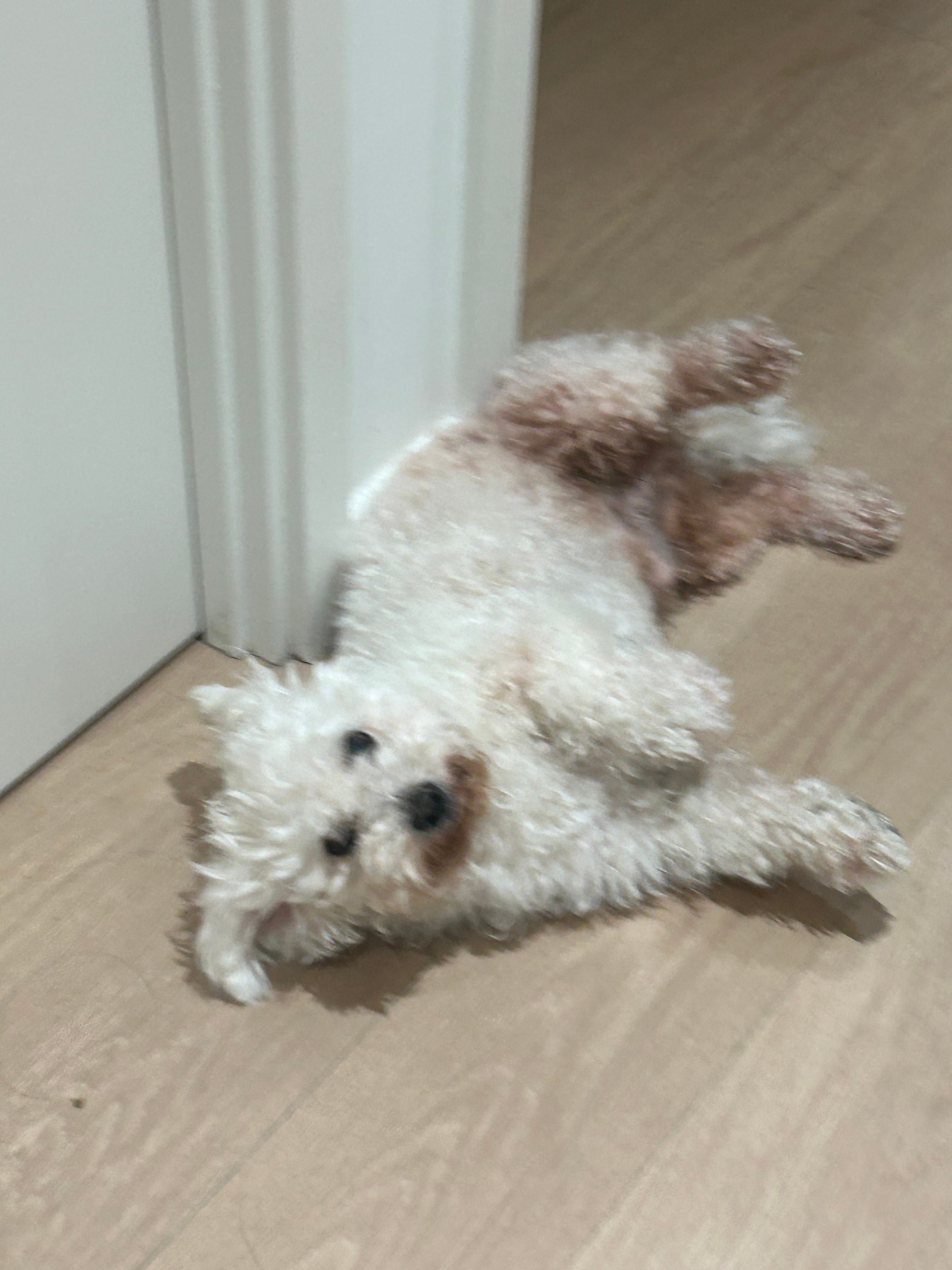 image-12