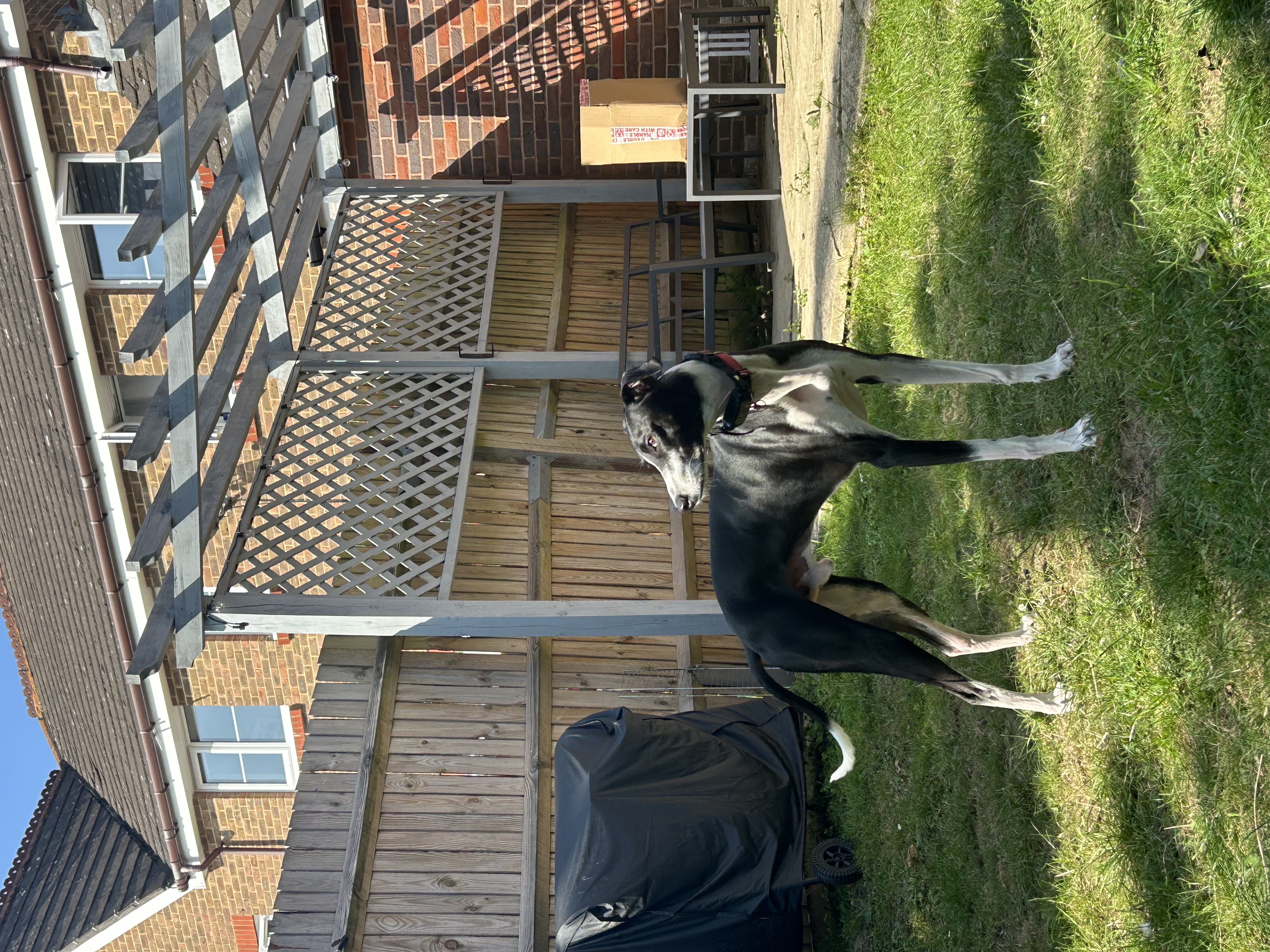 image-6