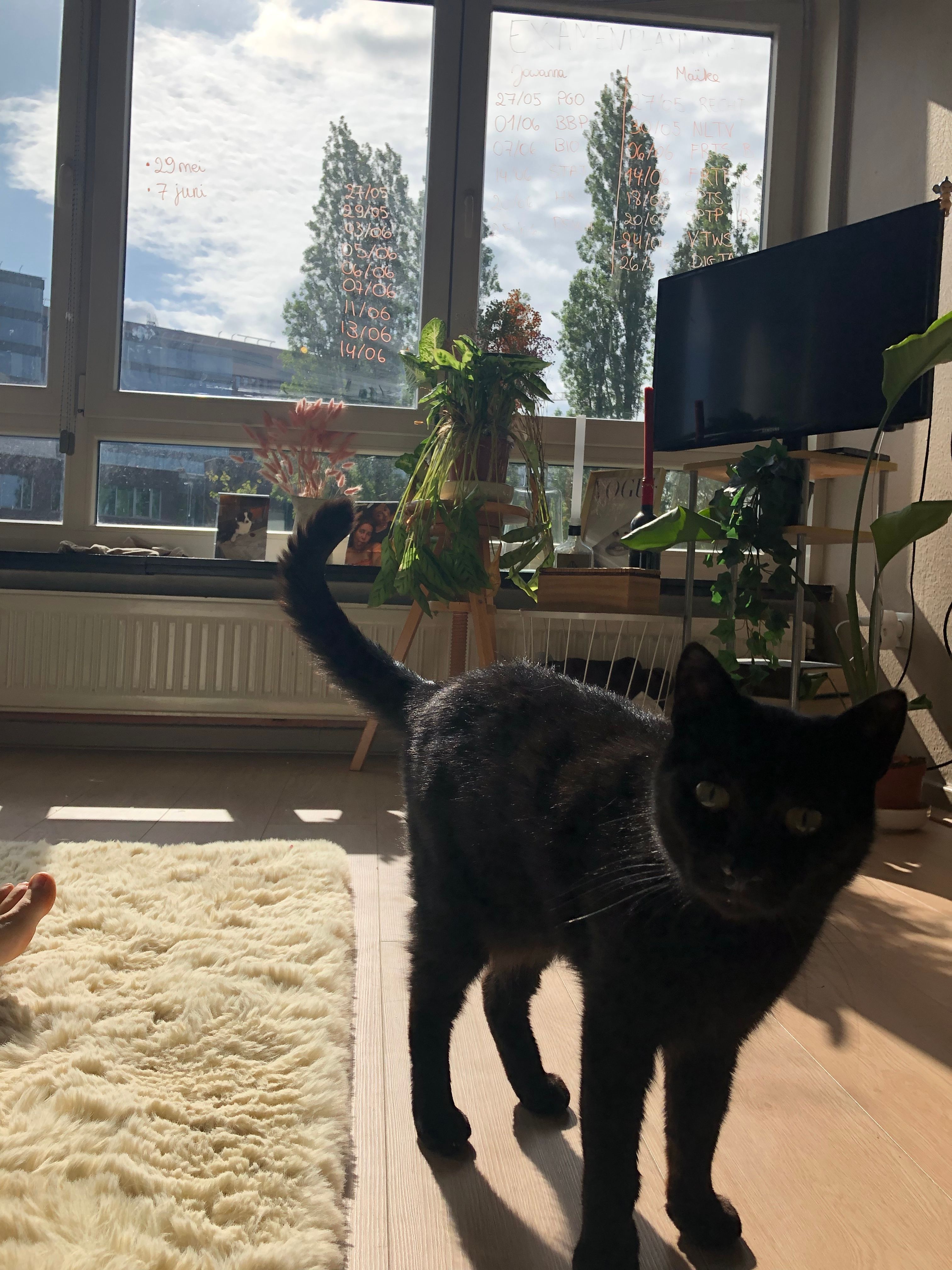 image-18