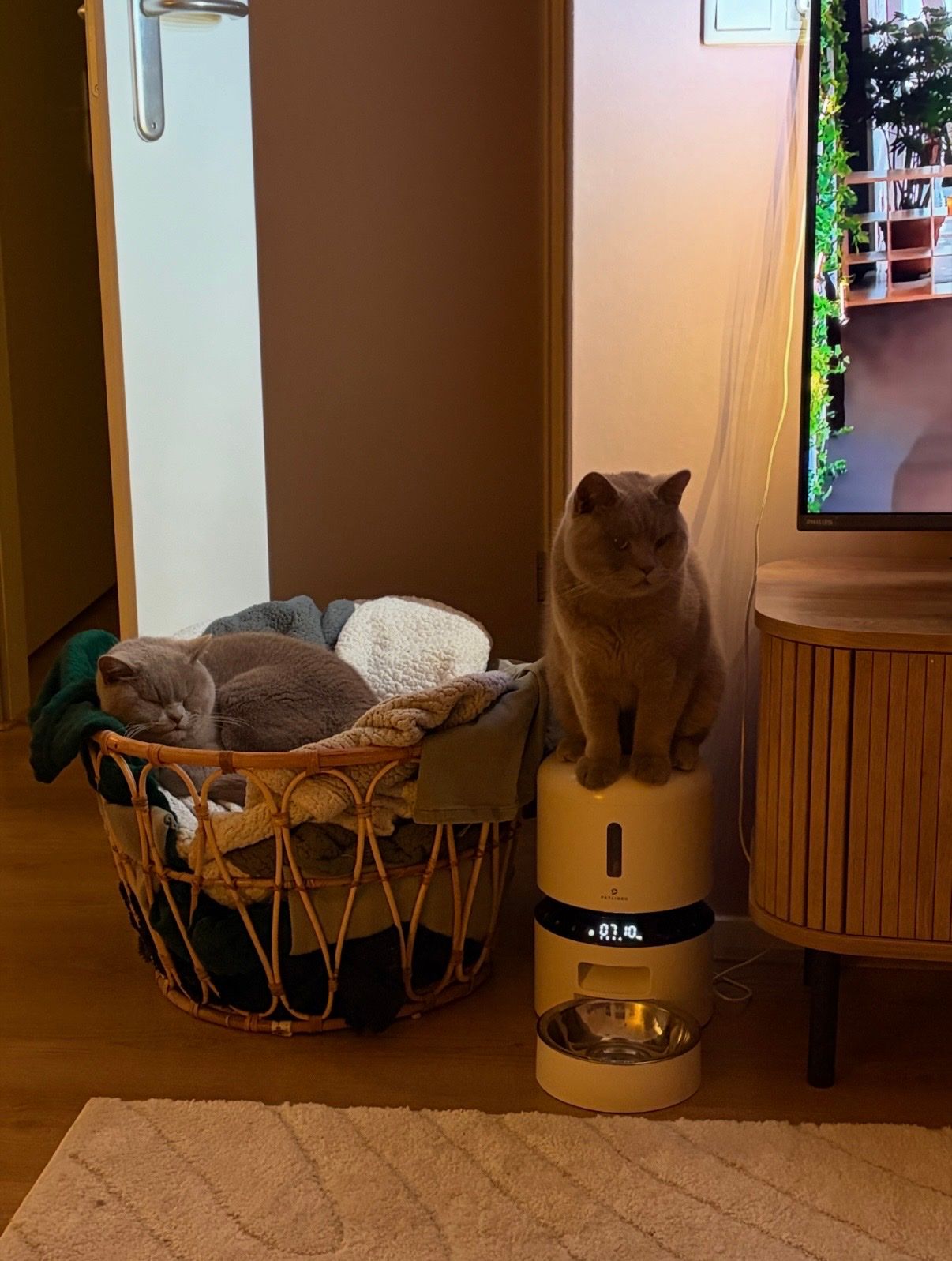 image-12