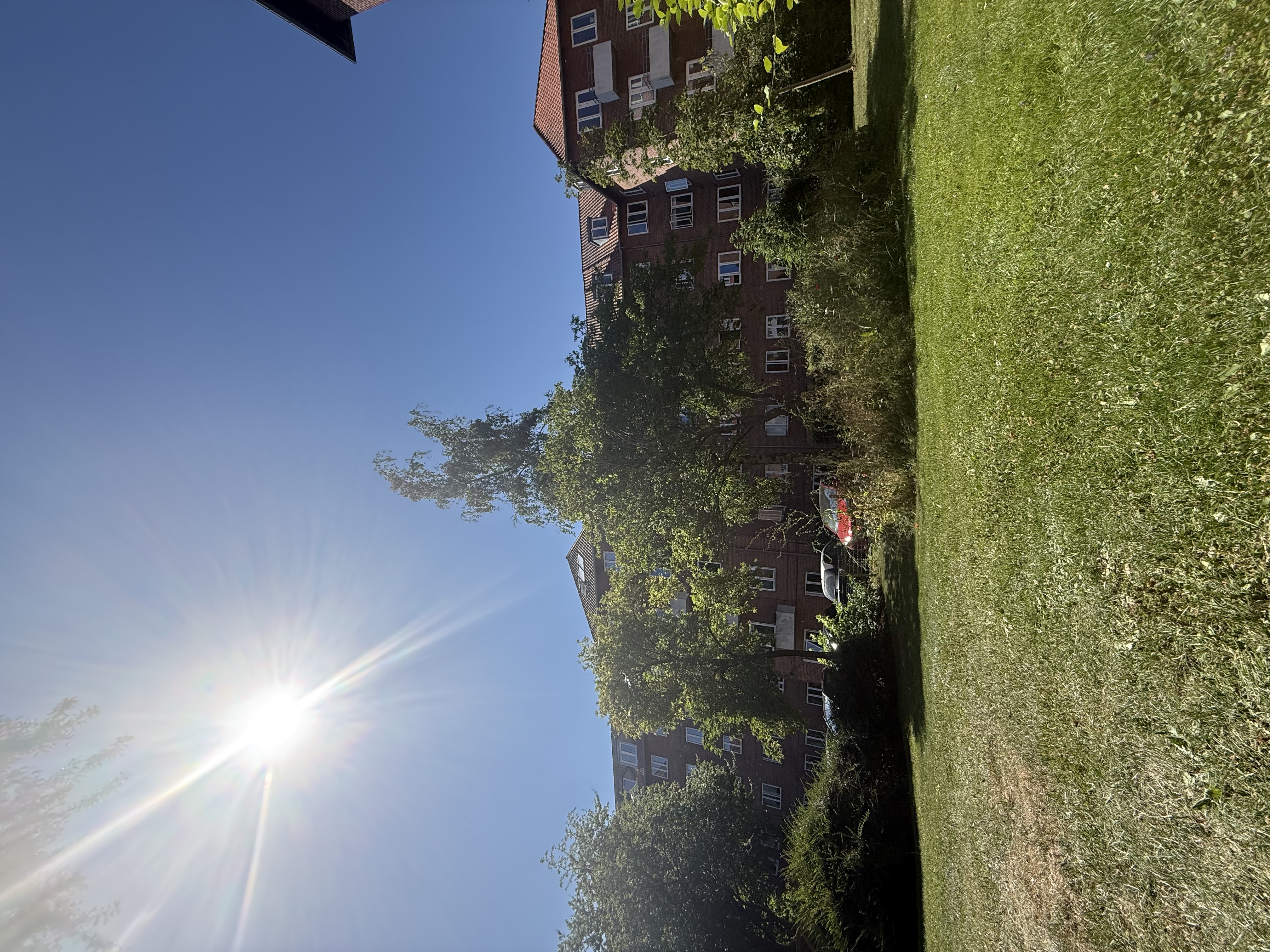 image-18