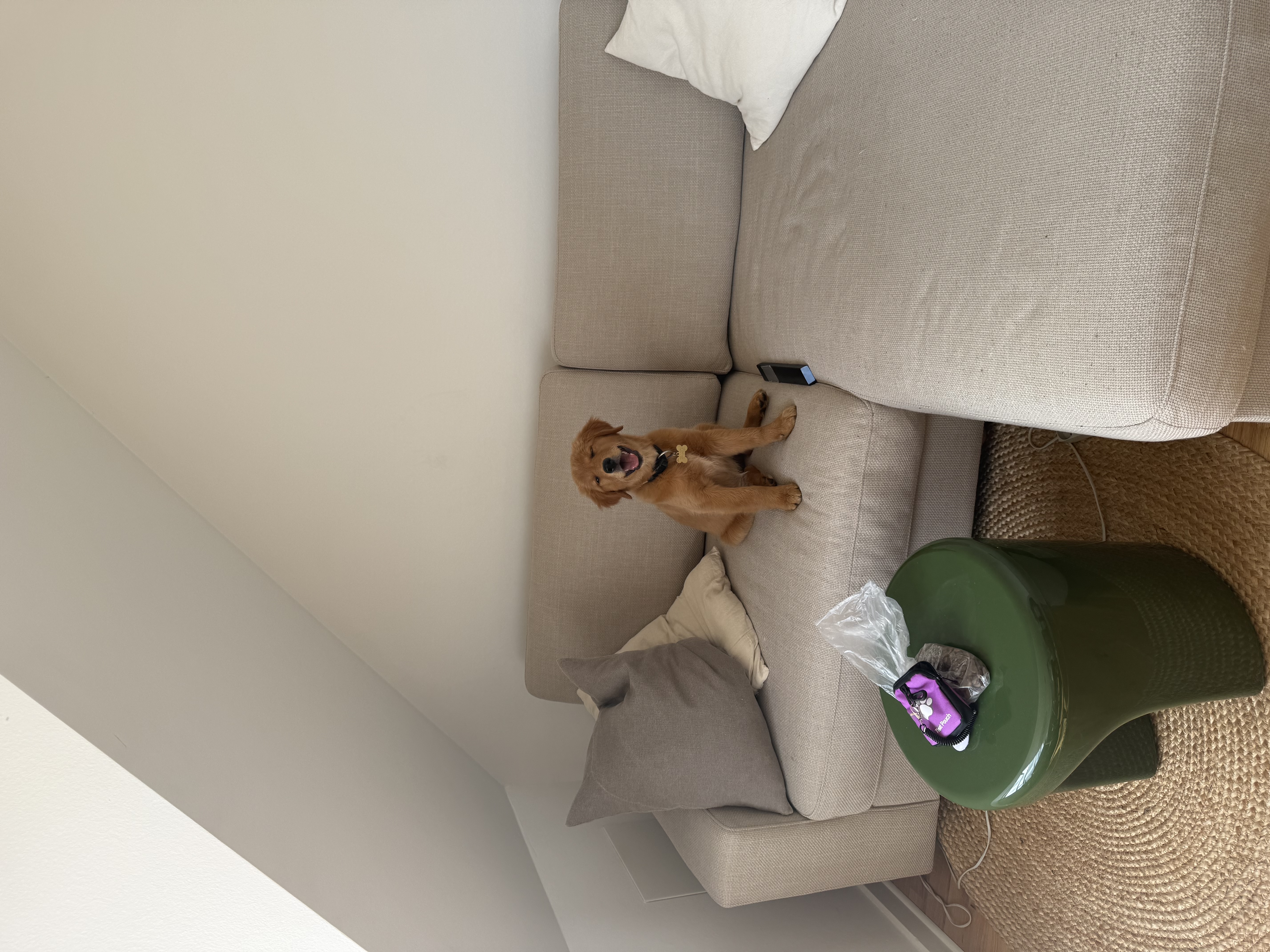 image-11