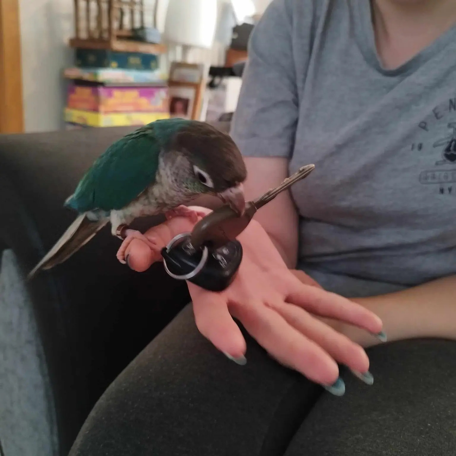 image-6