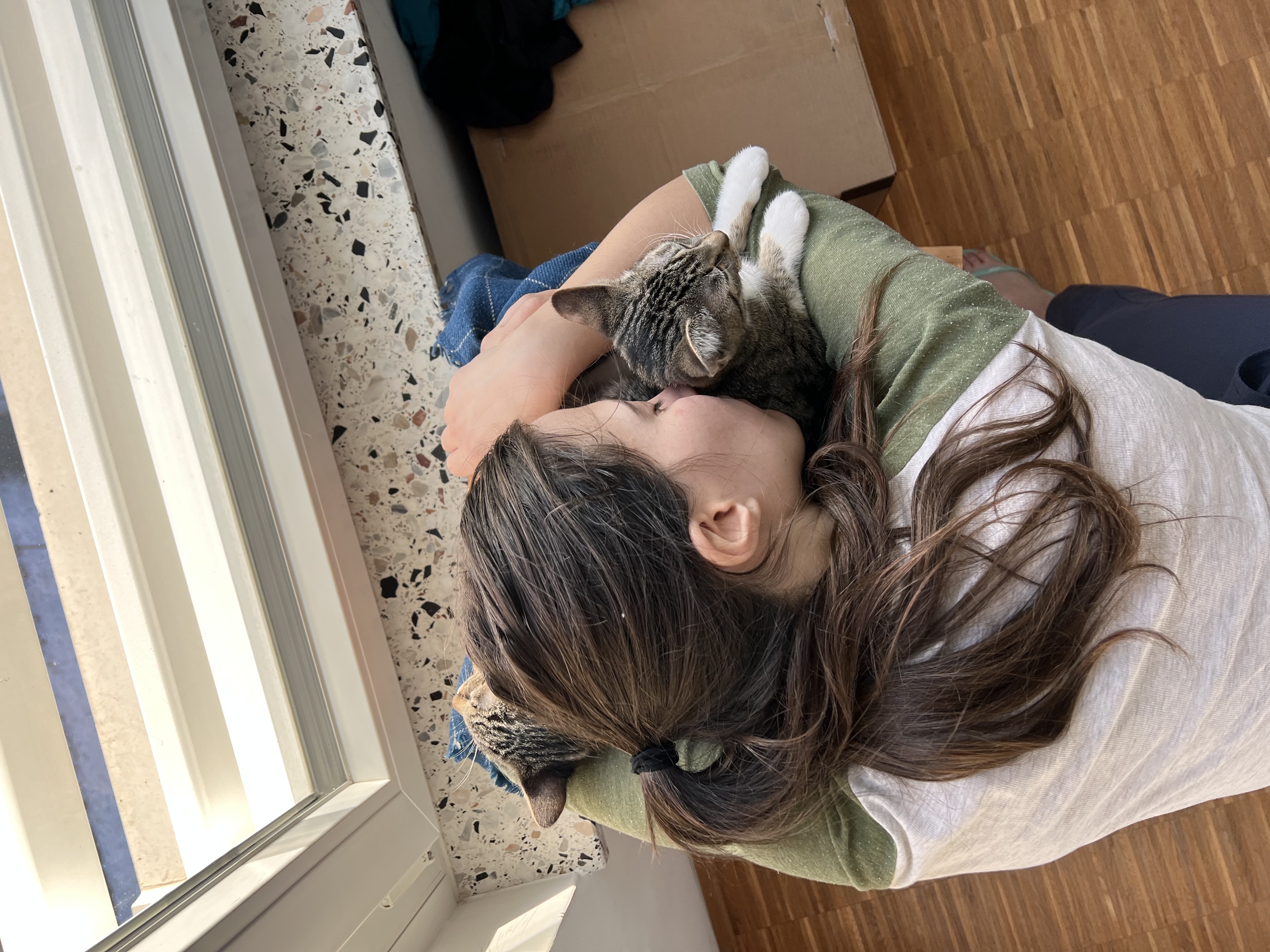 image-6