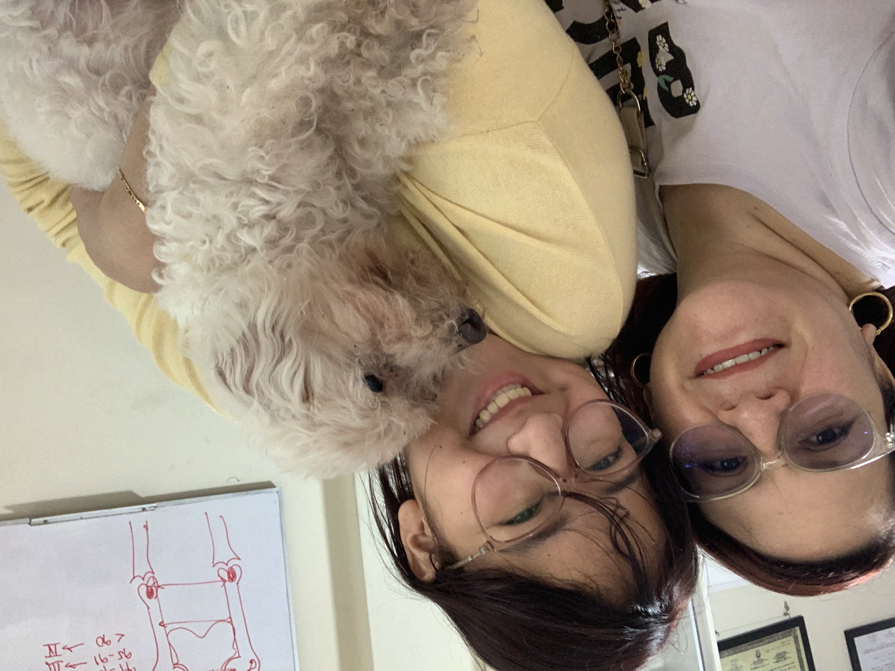 image-4