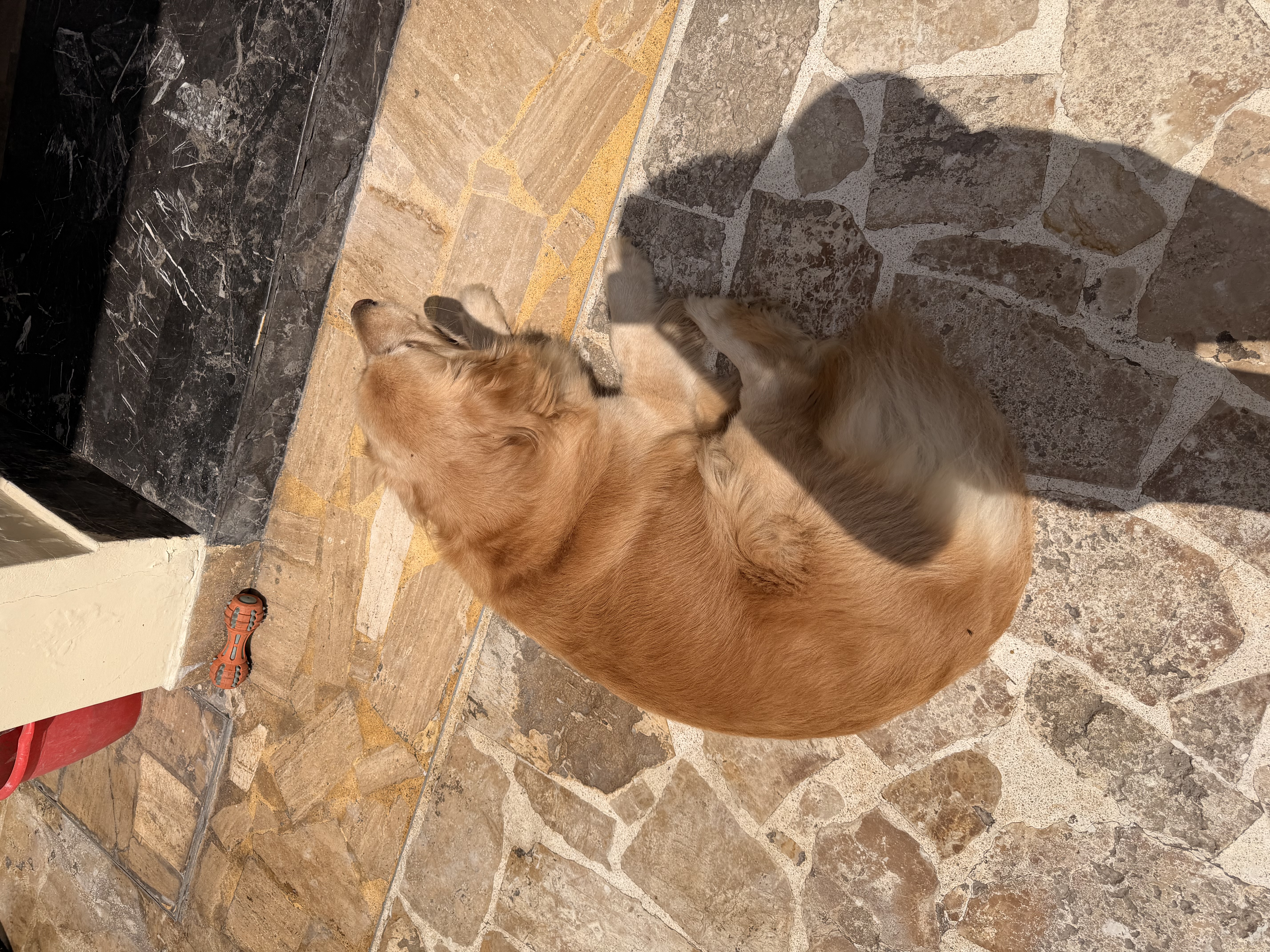 image-3