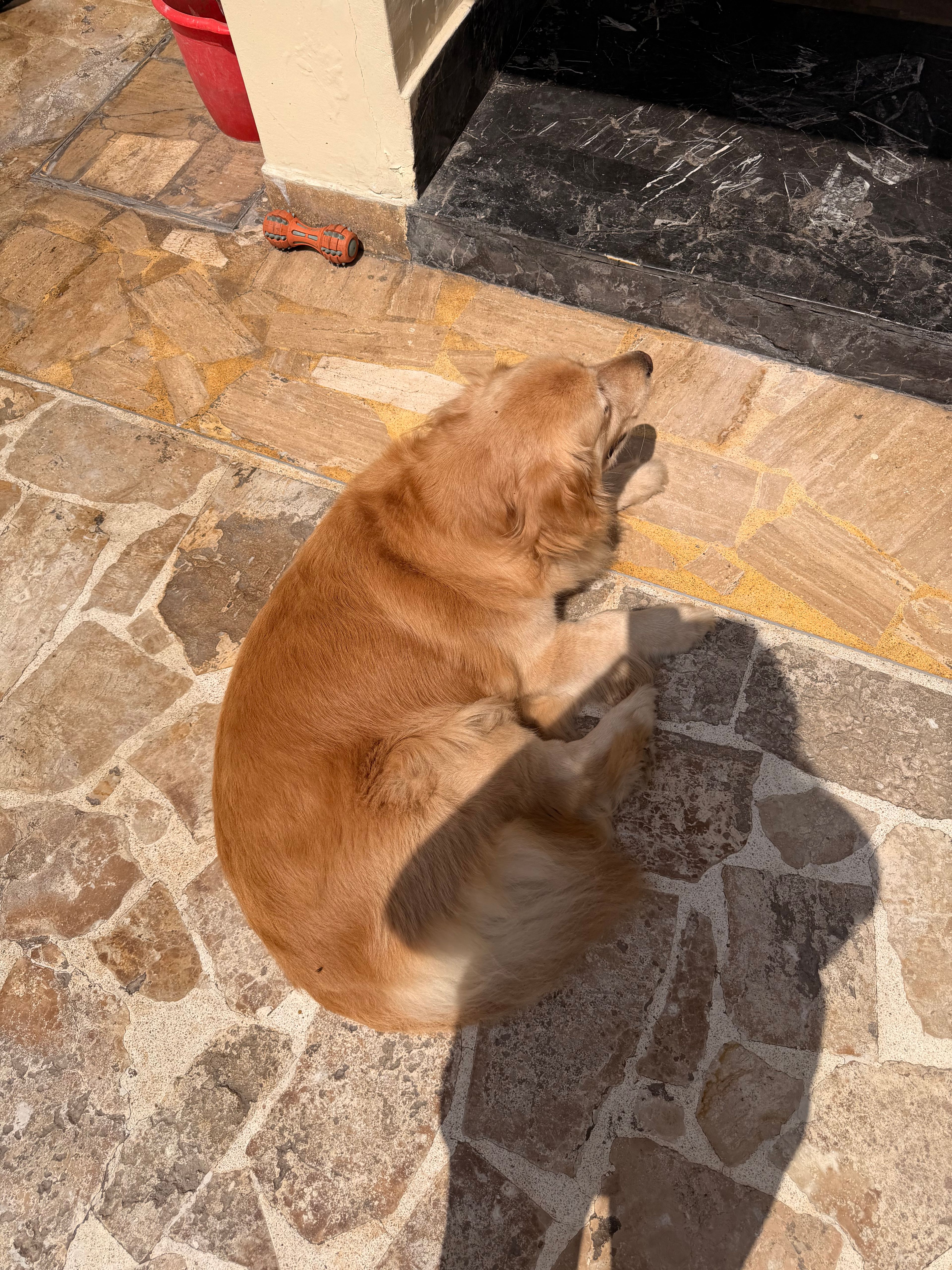image-3