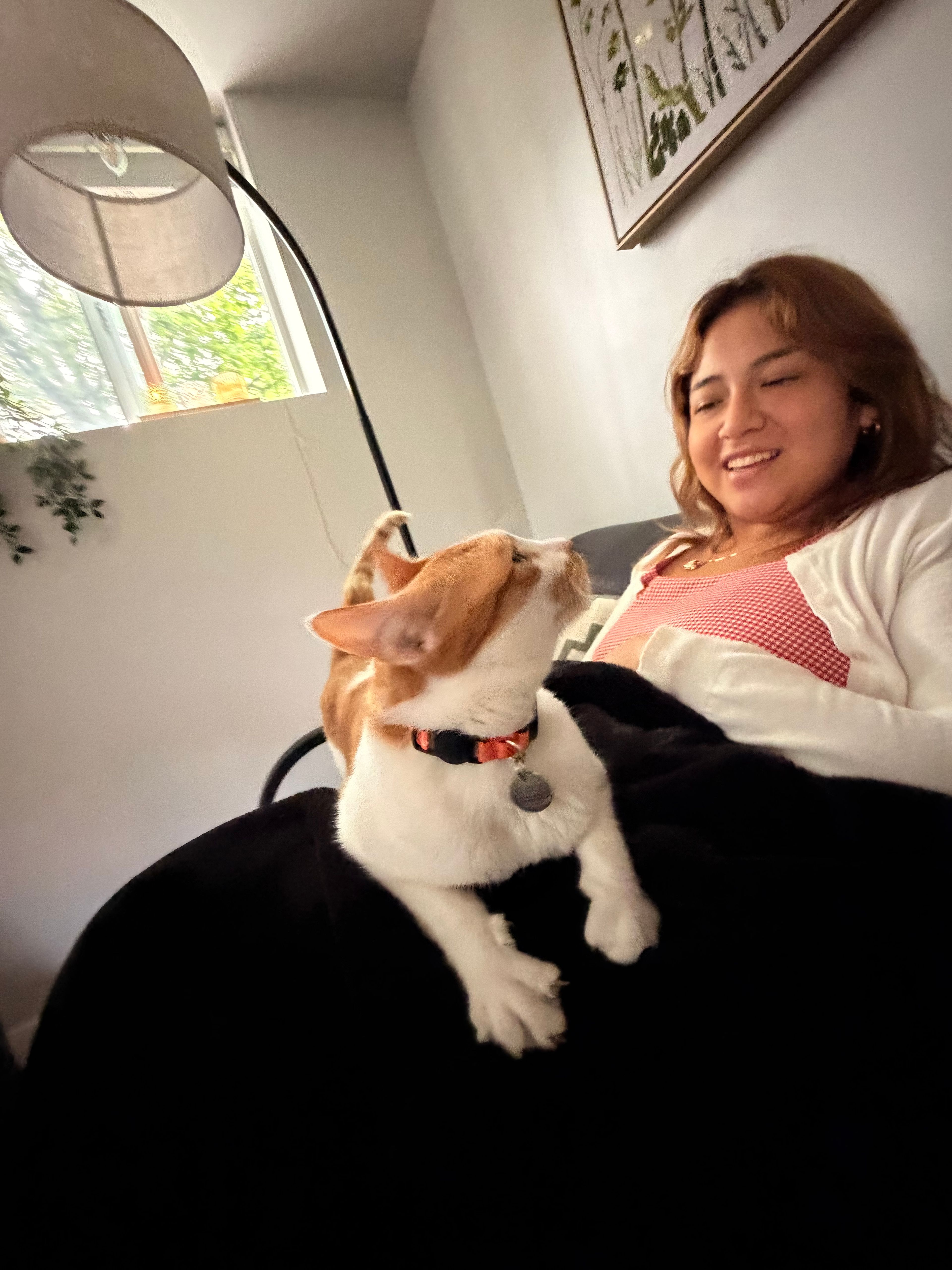 image-0