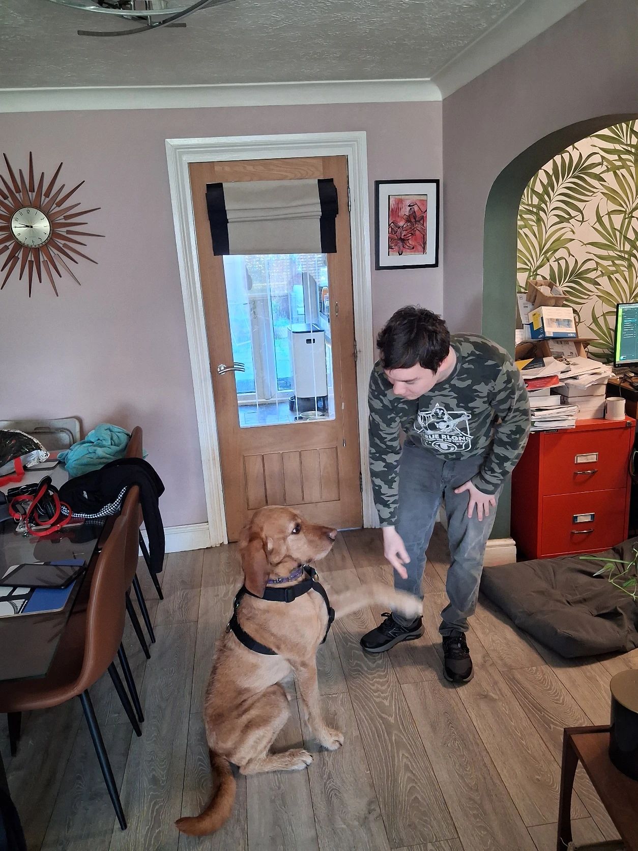 image-15