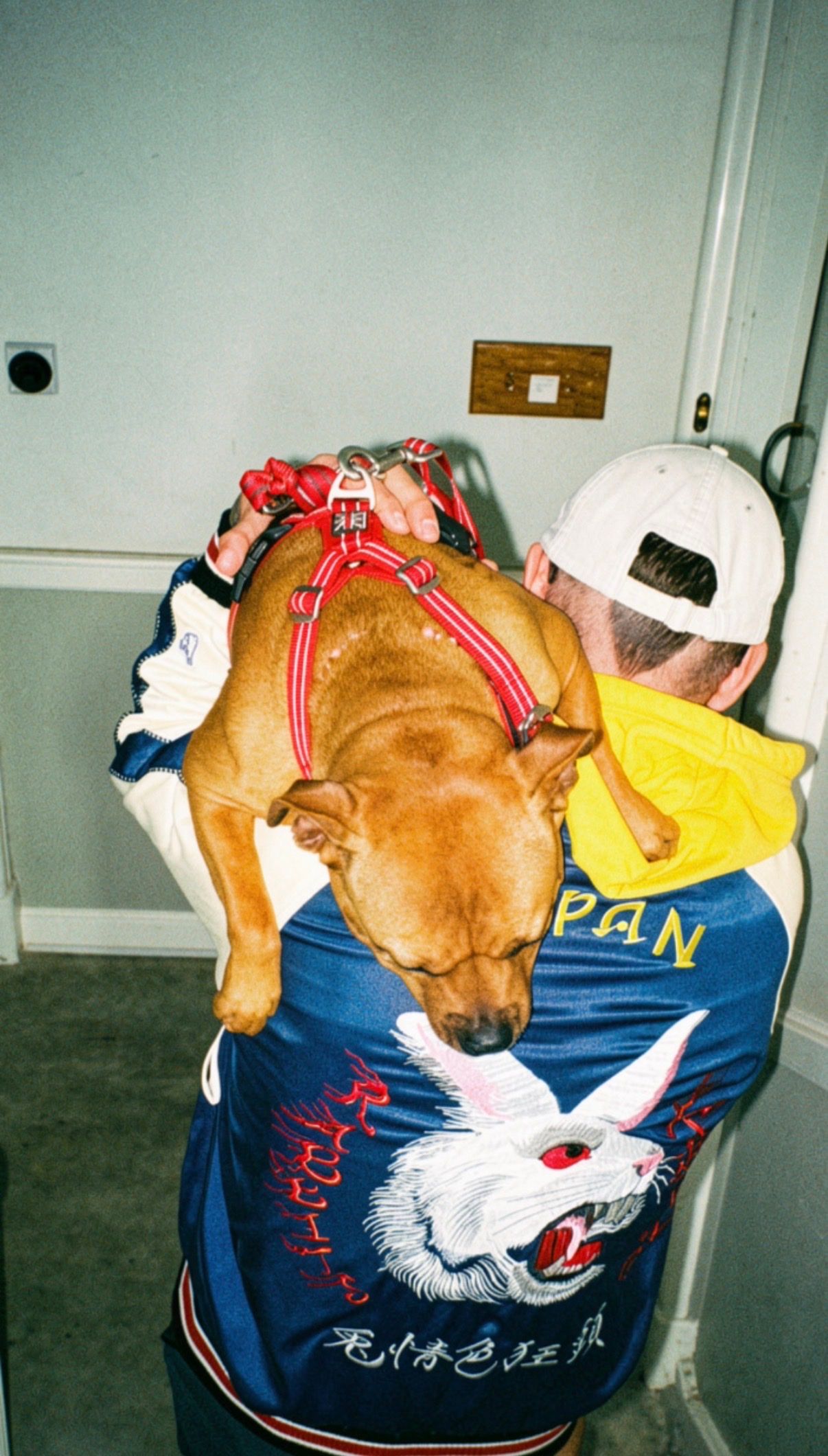 image-1