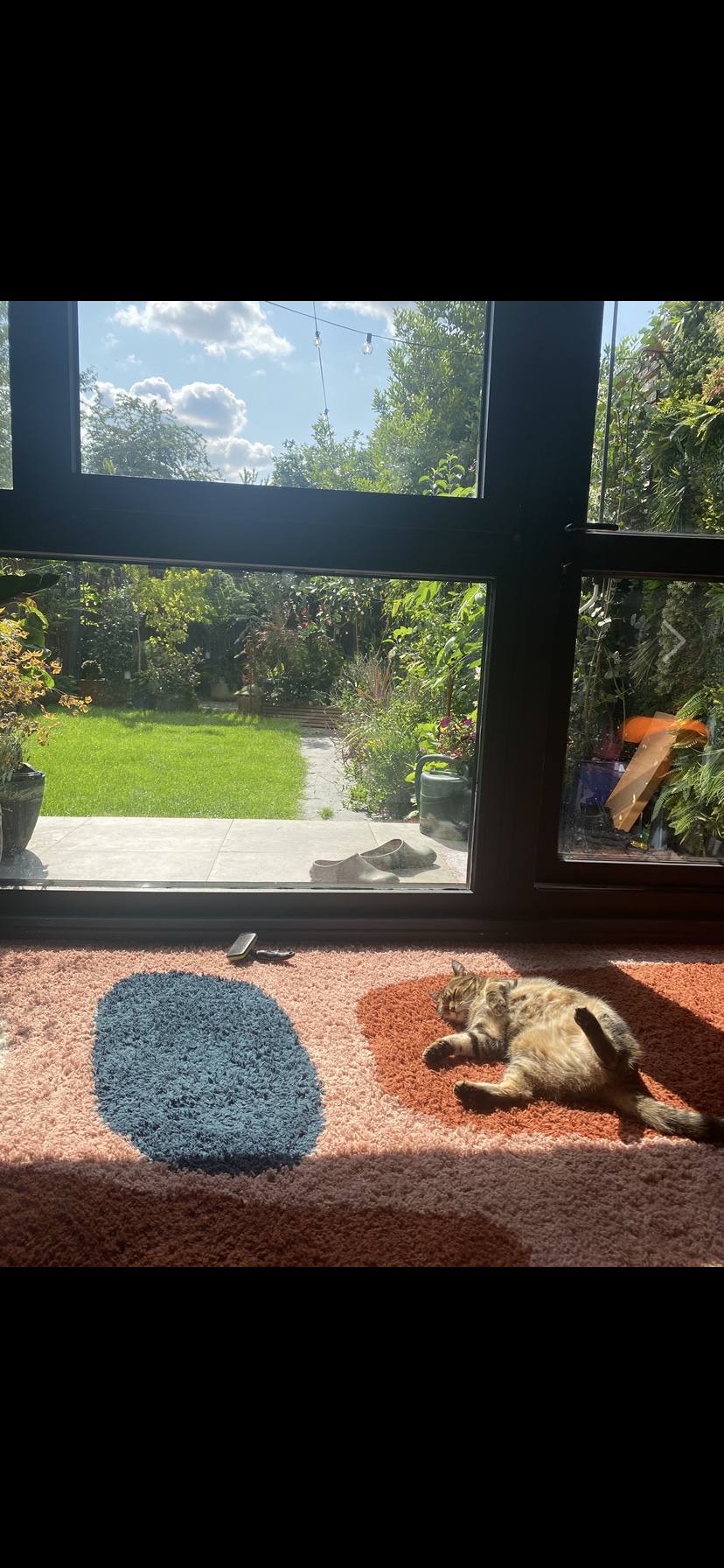 image-13
