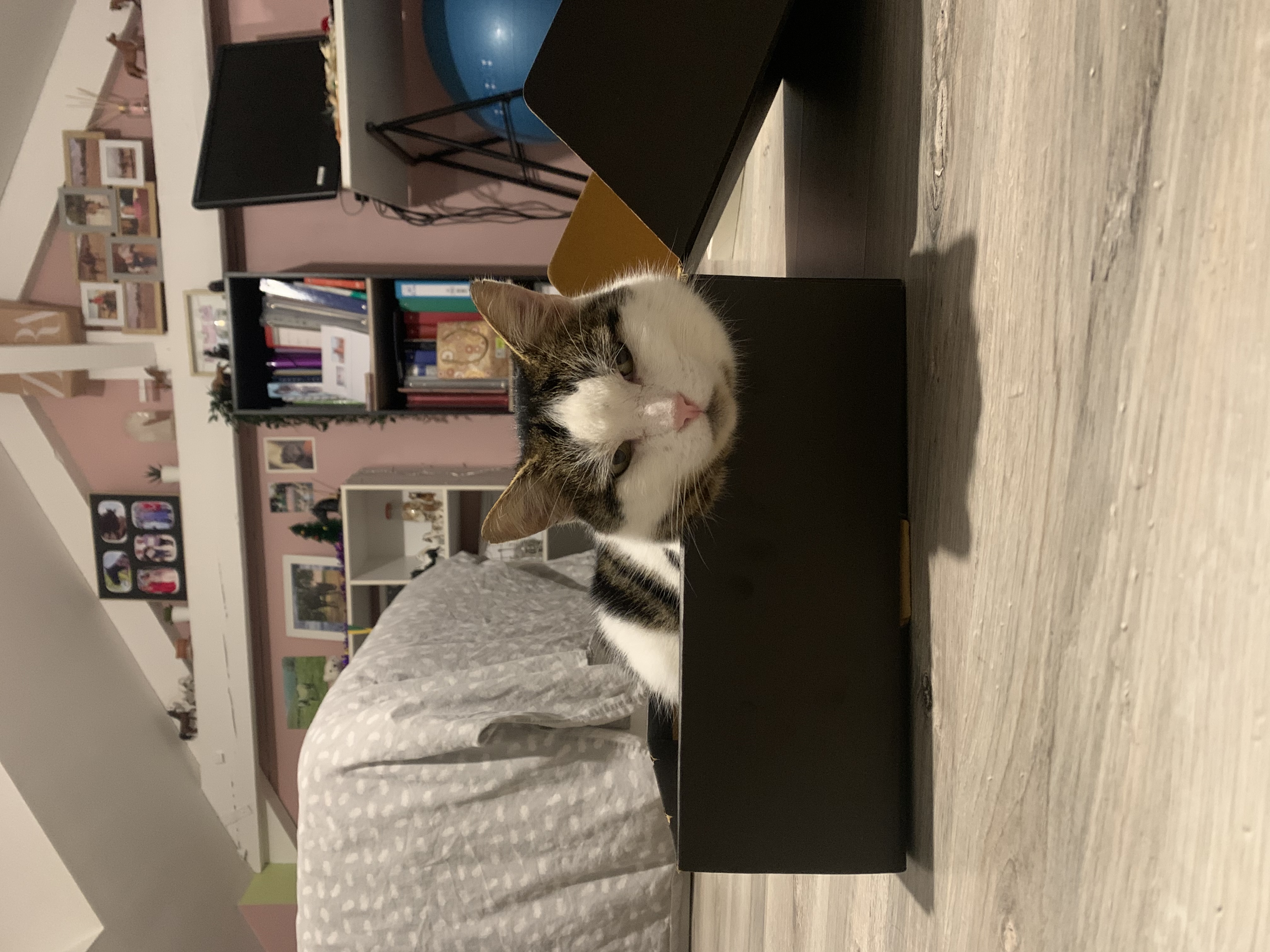 image-8