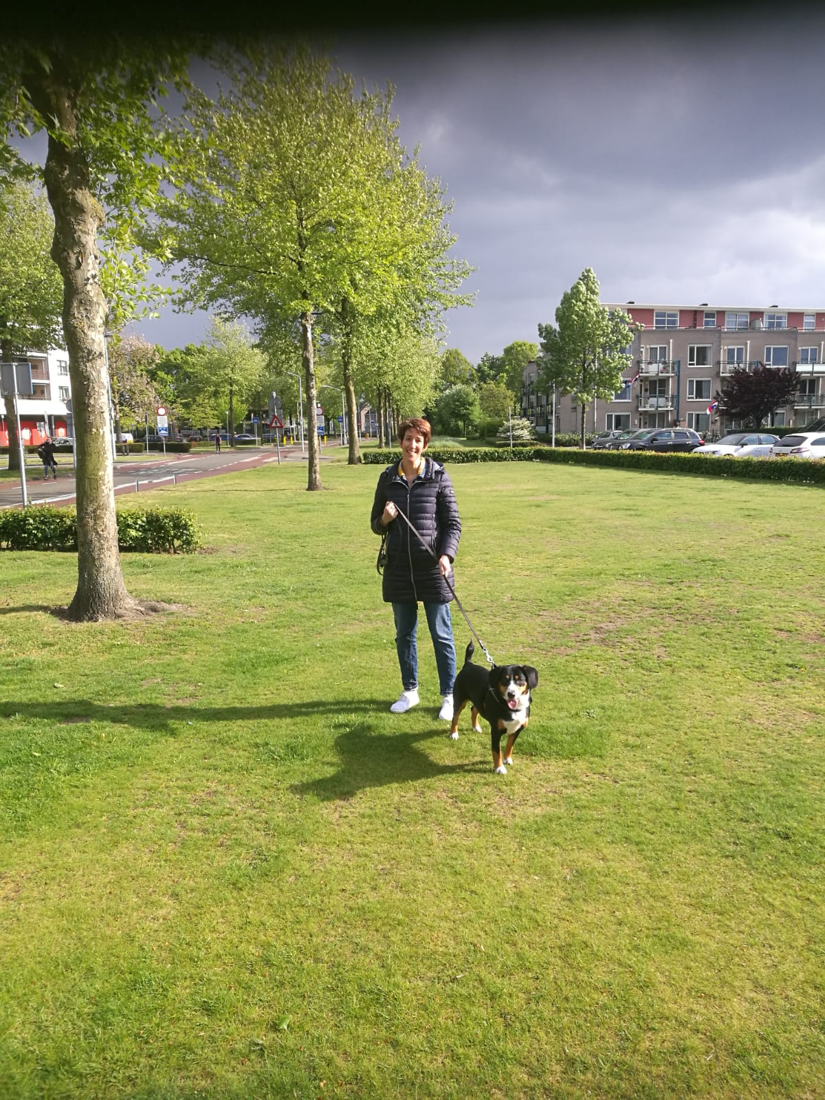image-3