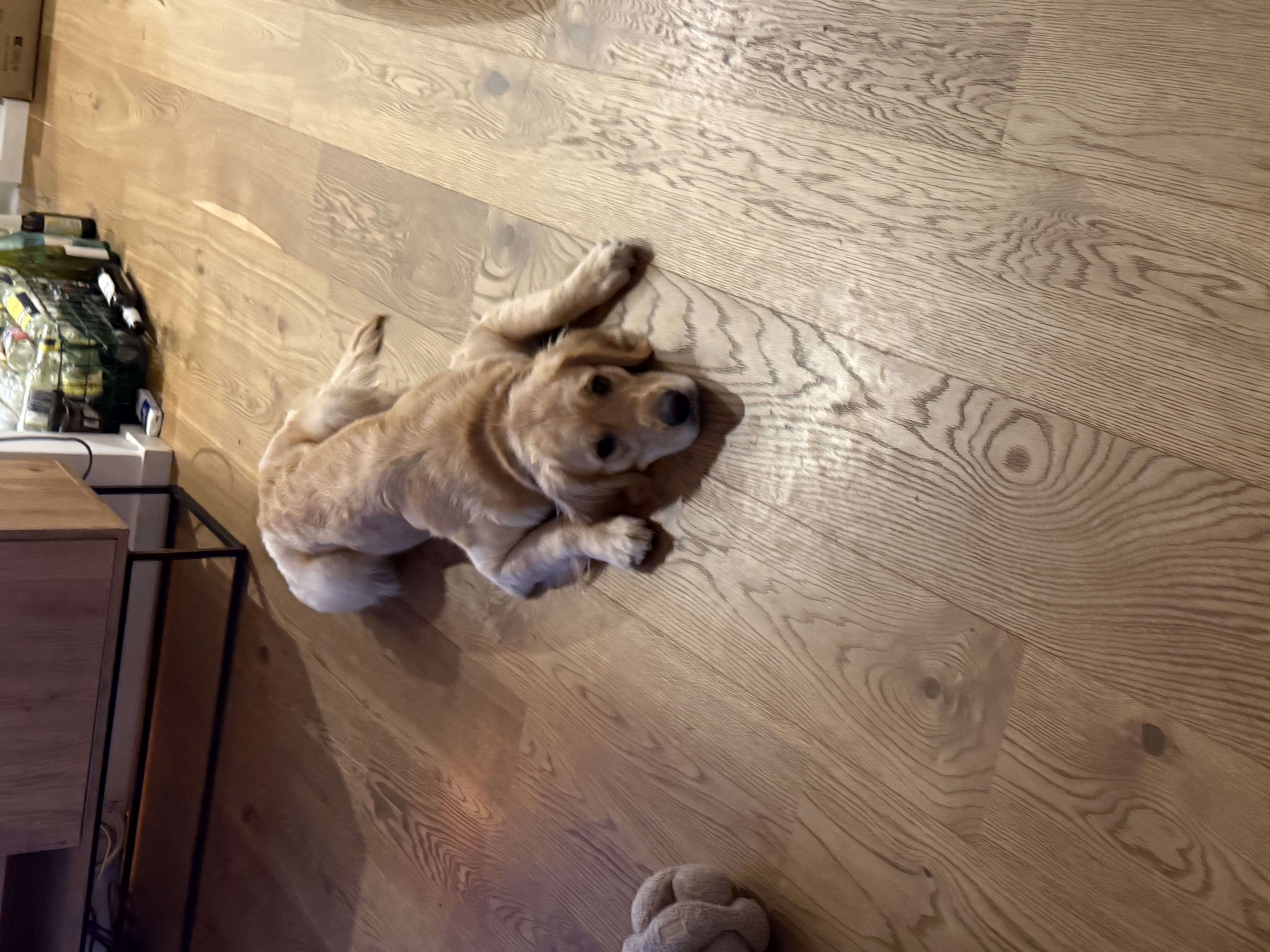 image-16
