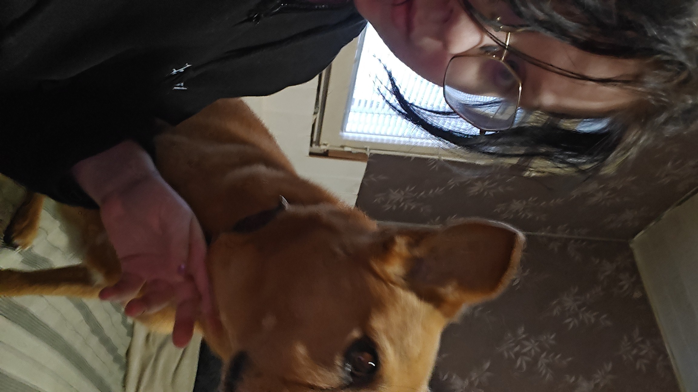 image-3
