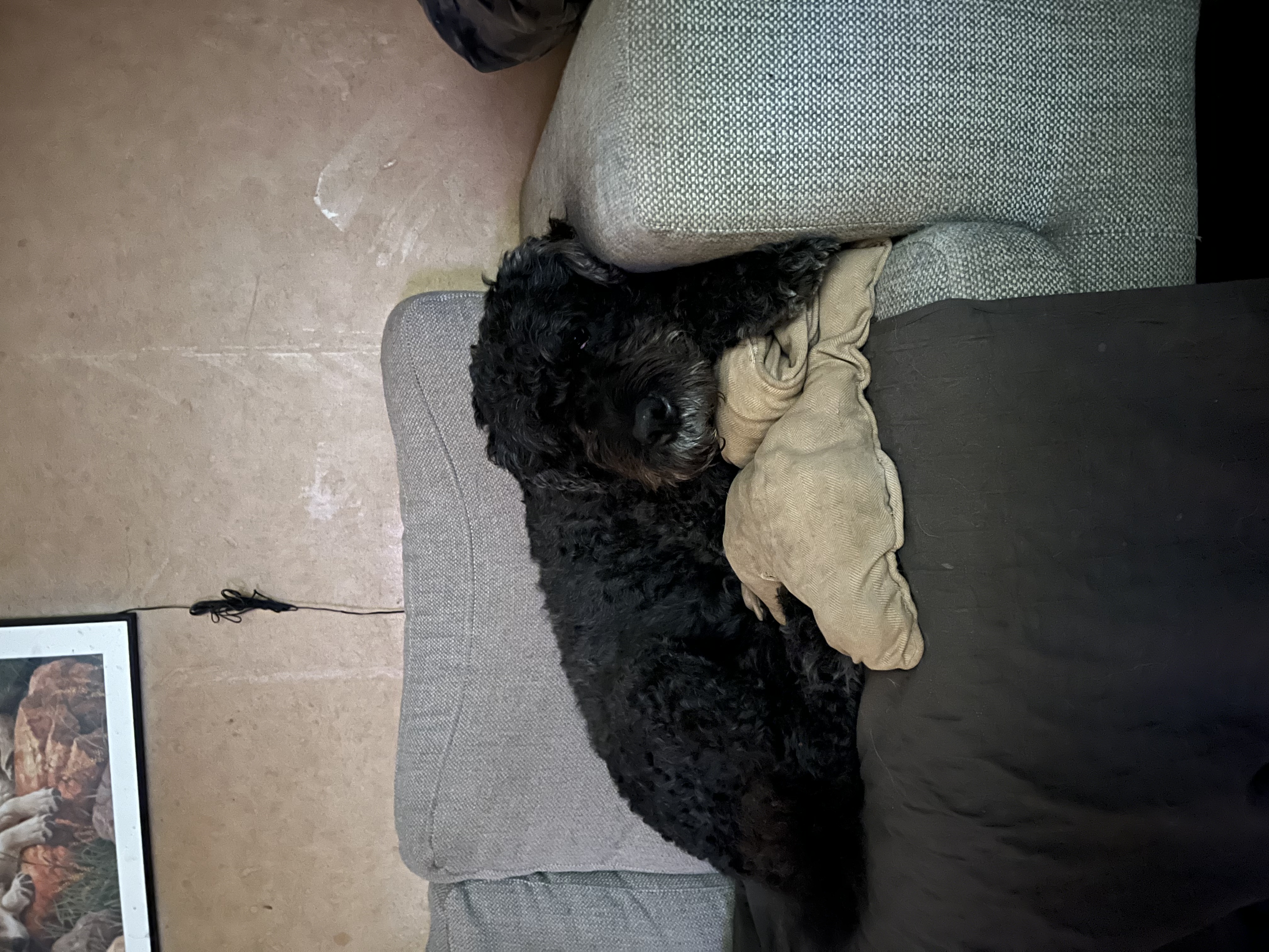 image-16
