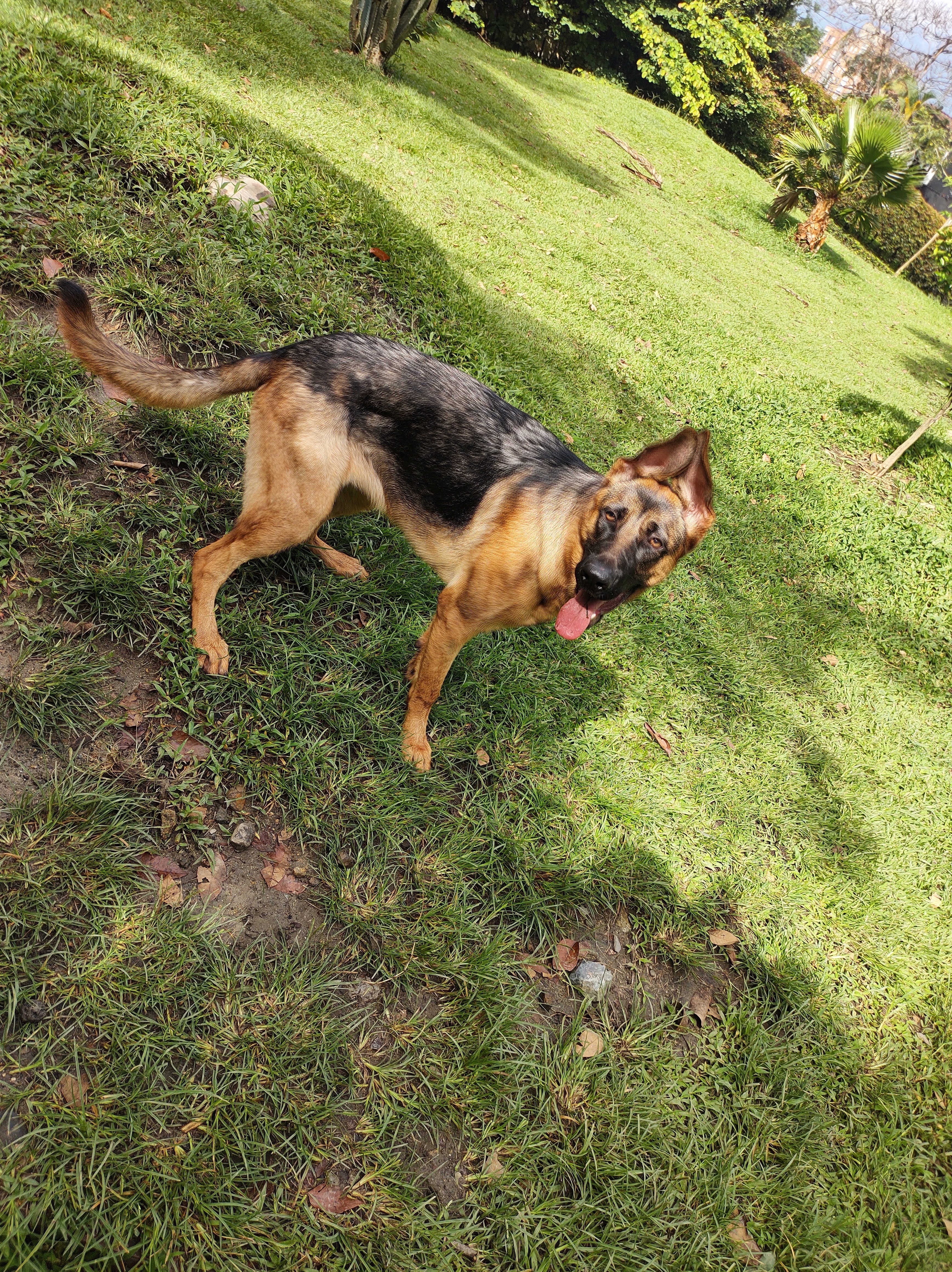 image-10