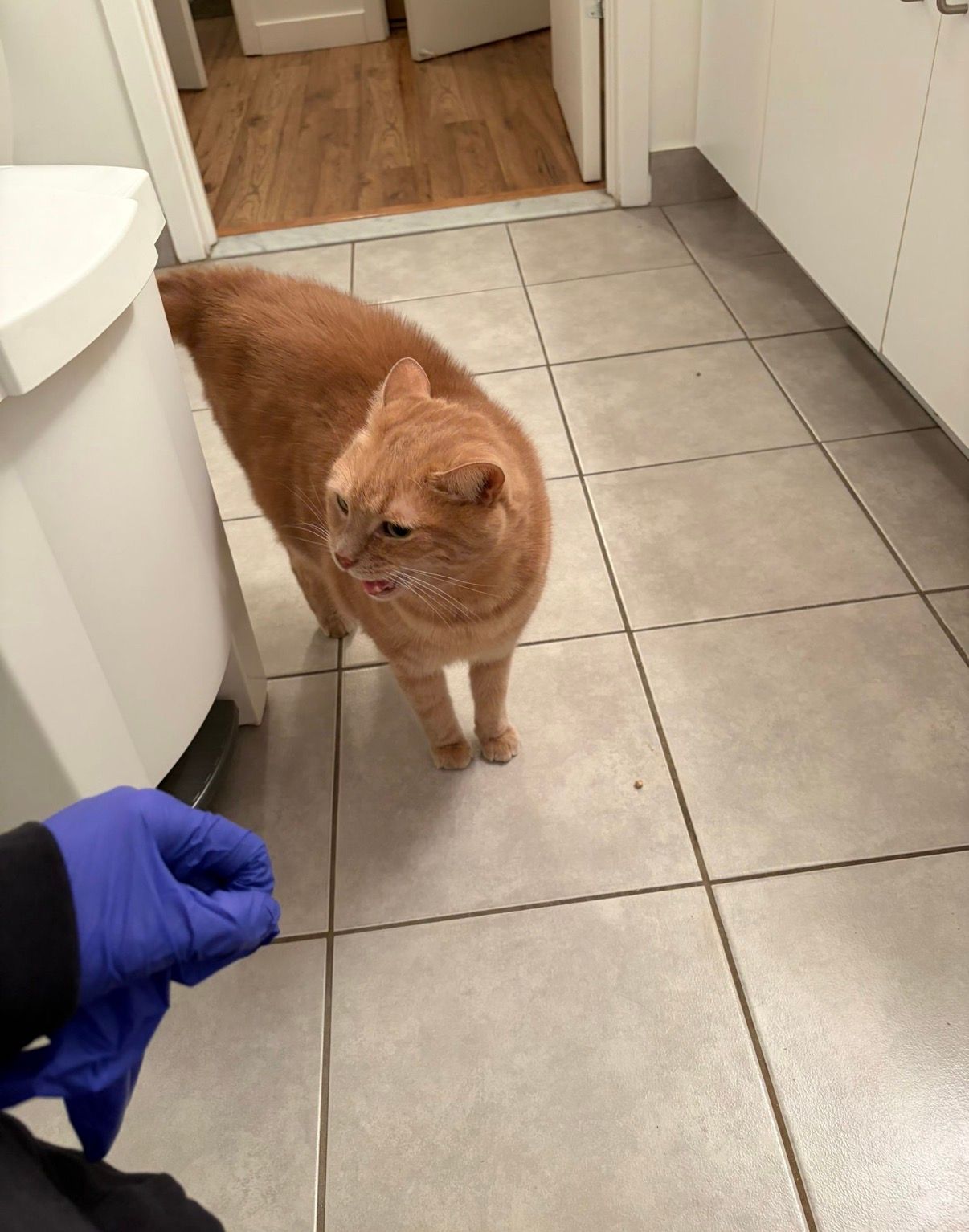 image-22