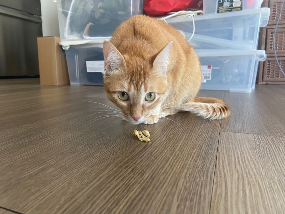 image-41