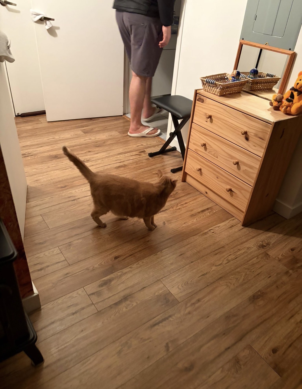 image-17