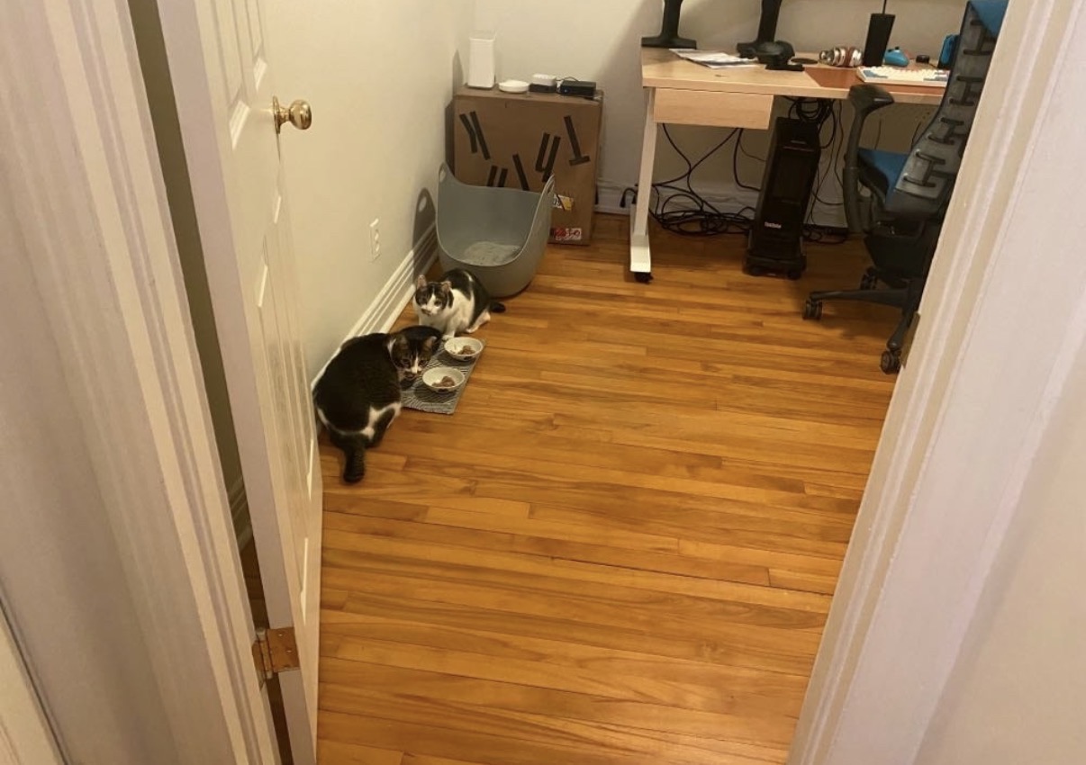 image-14