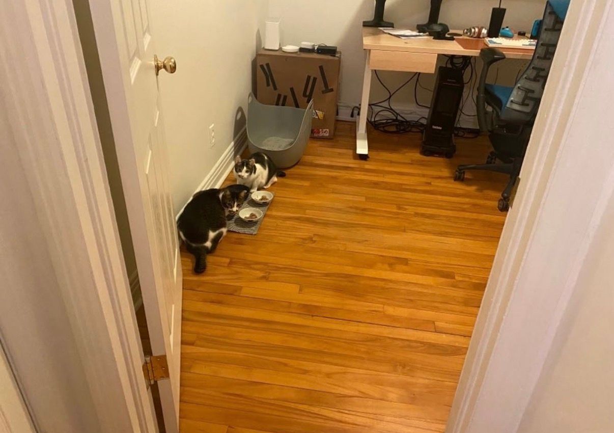 image-14