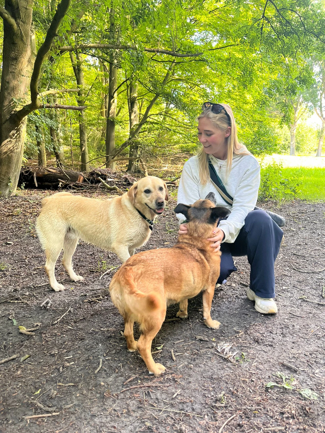 image-0