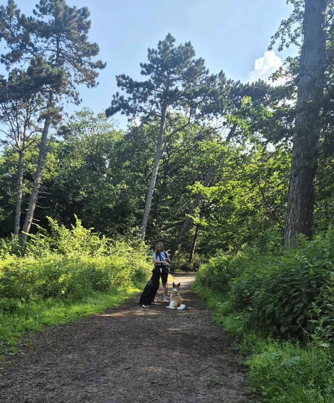 image-7