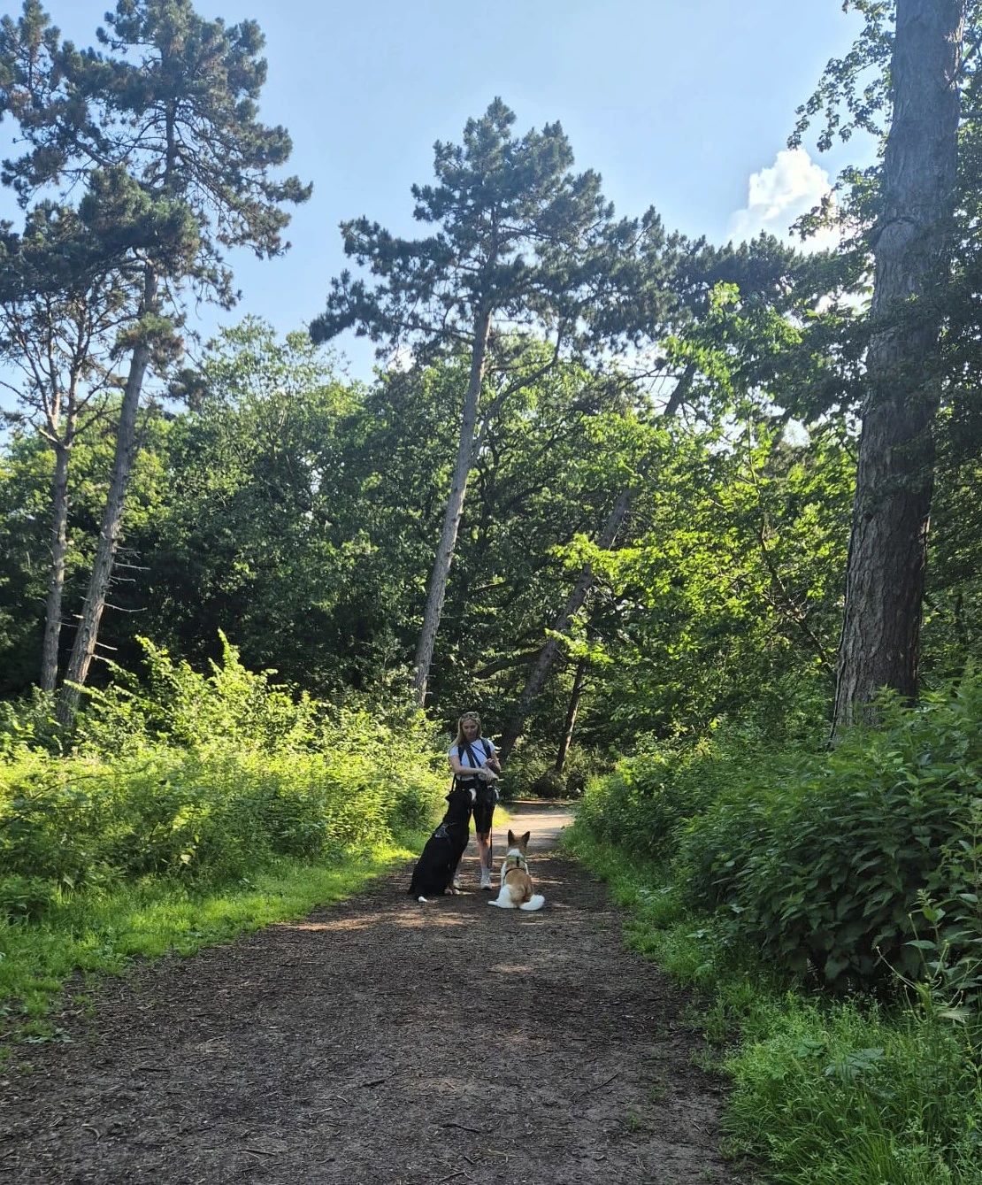 image-7