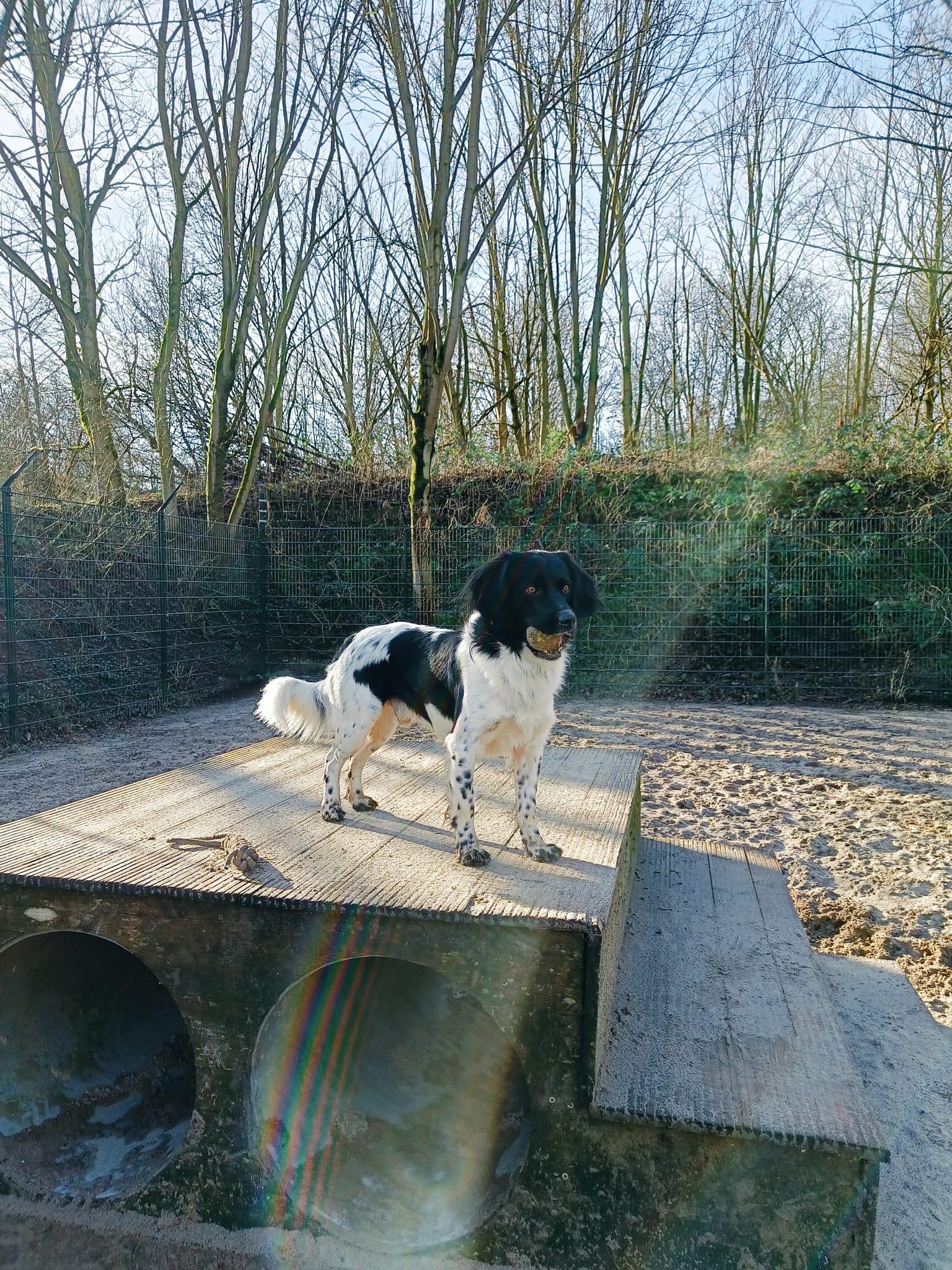 image-9