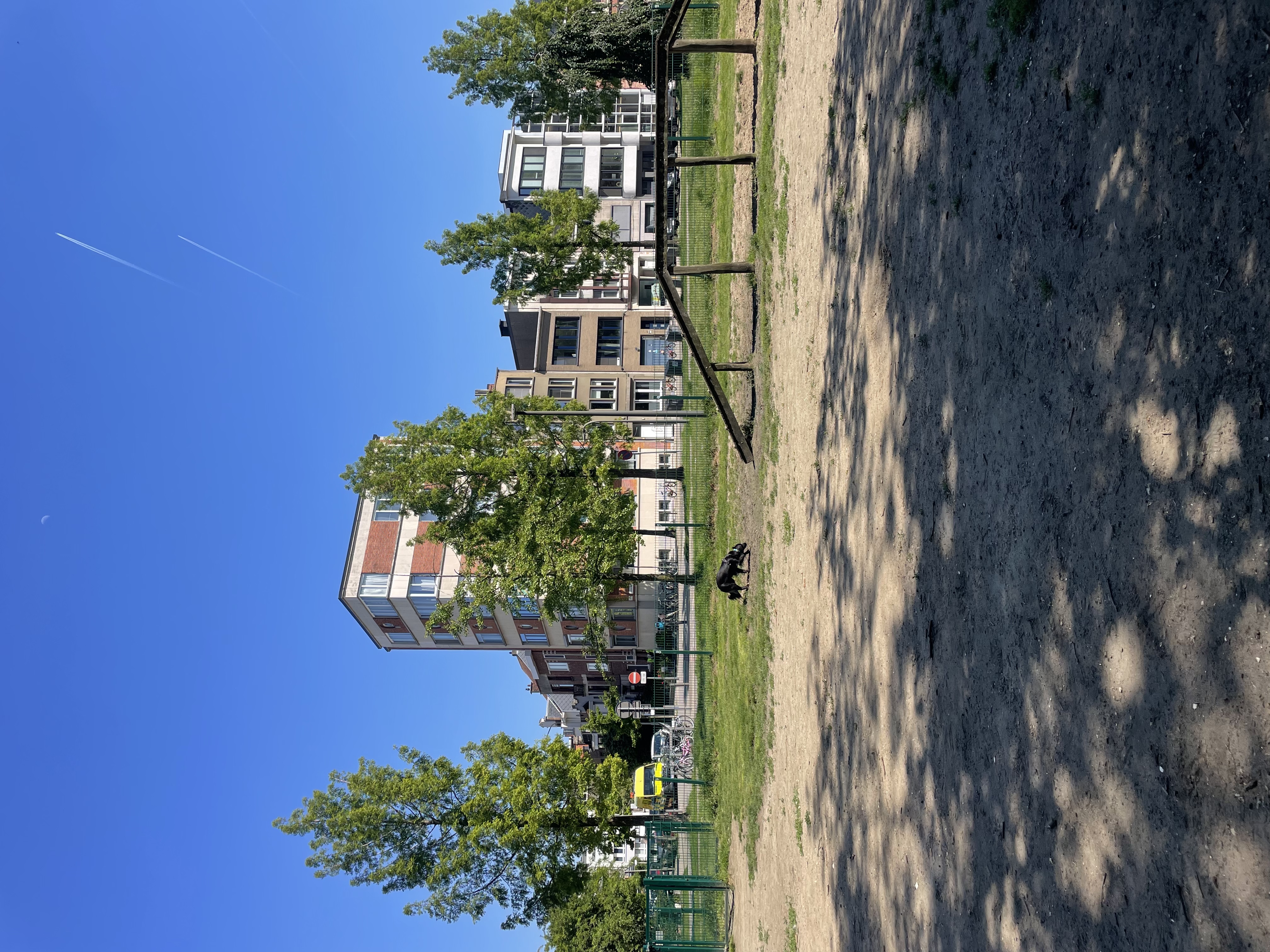 image-20