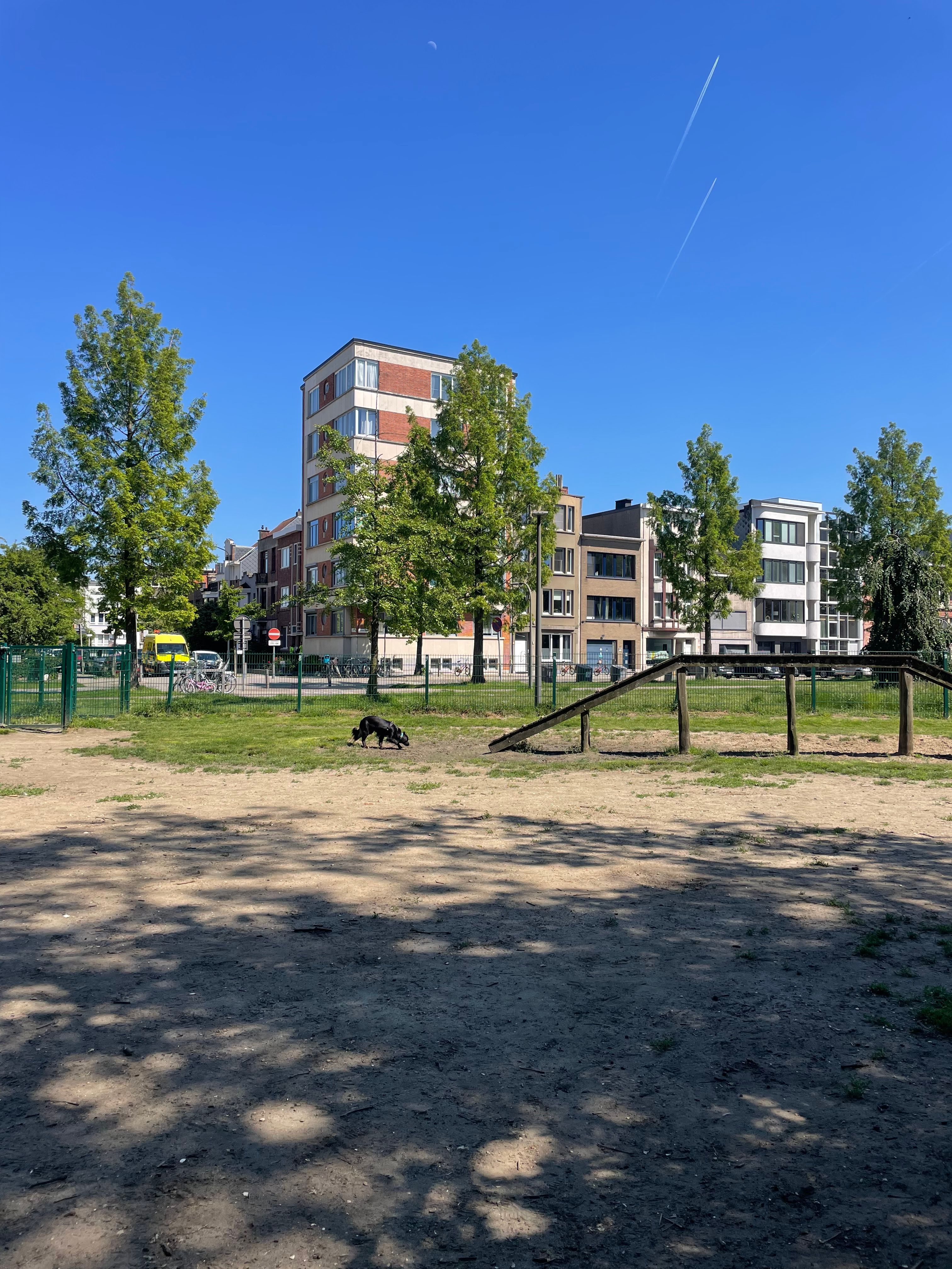 image-20