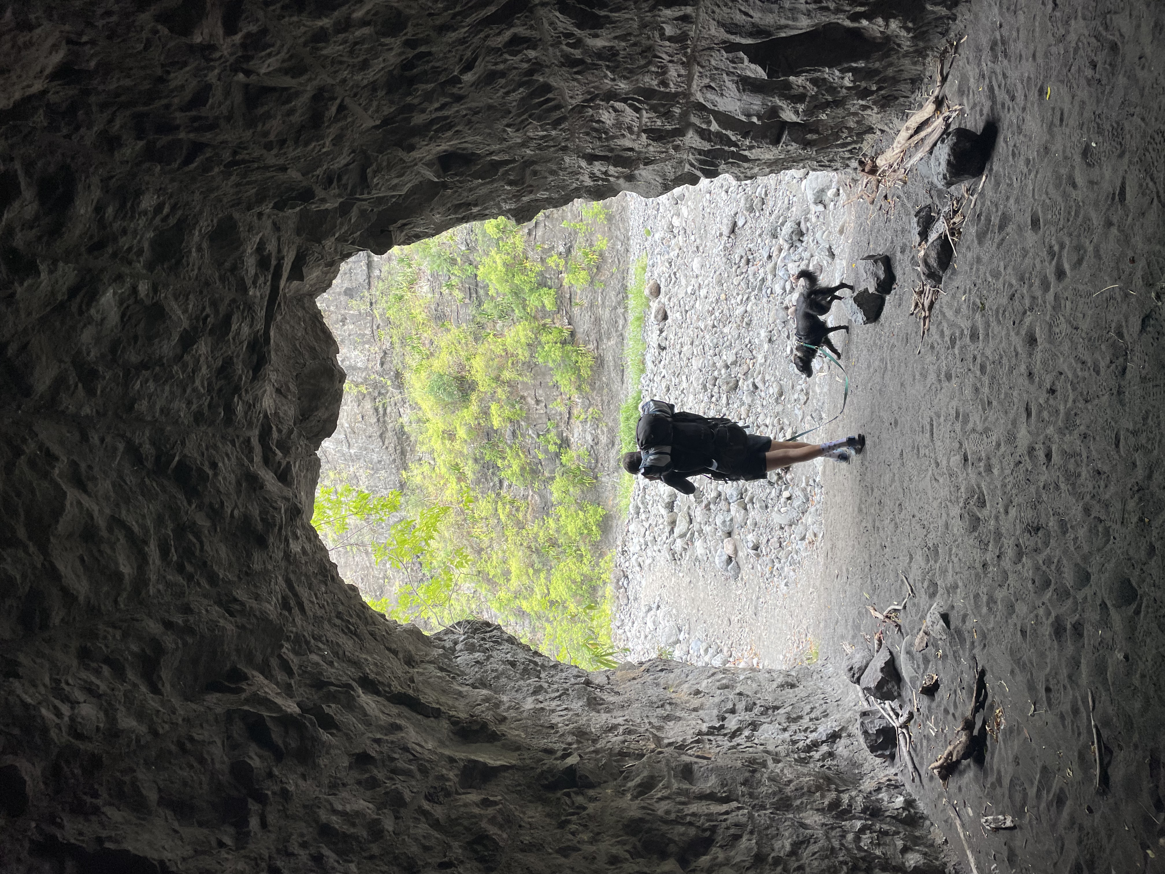 image-7