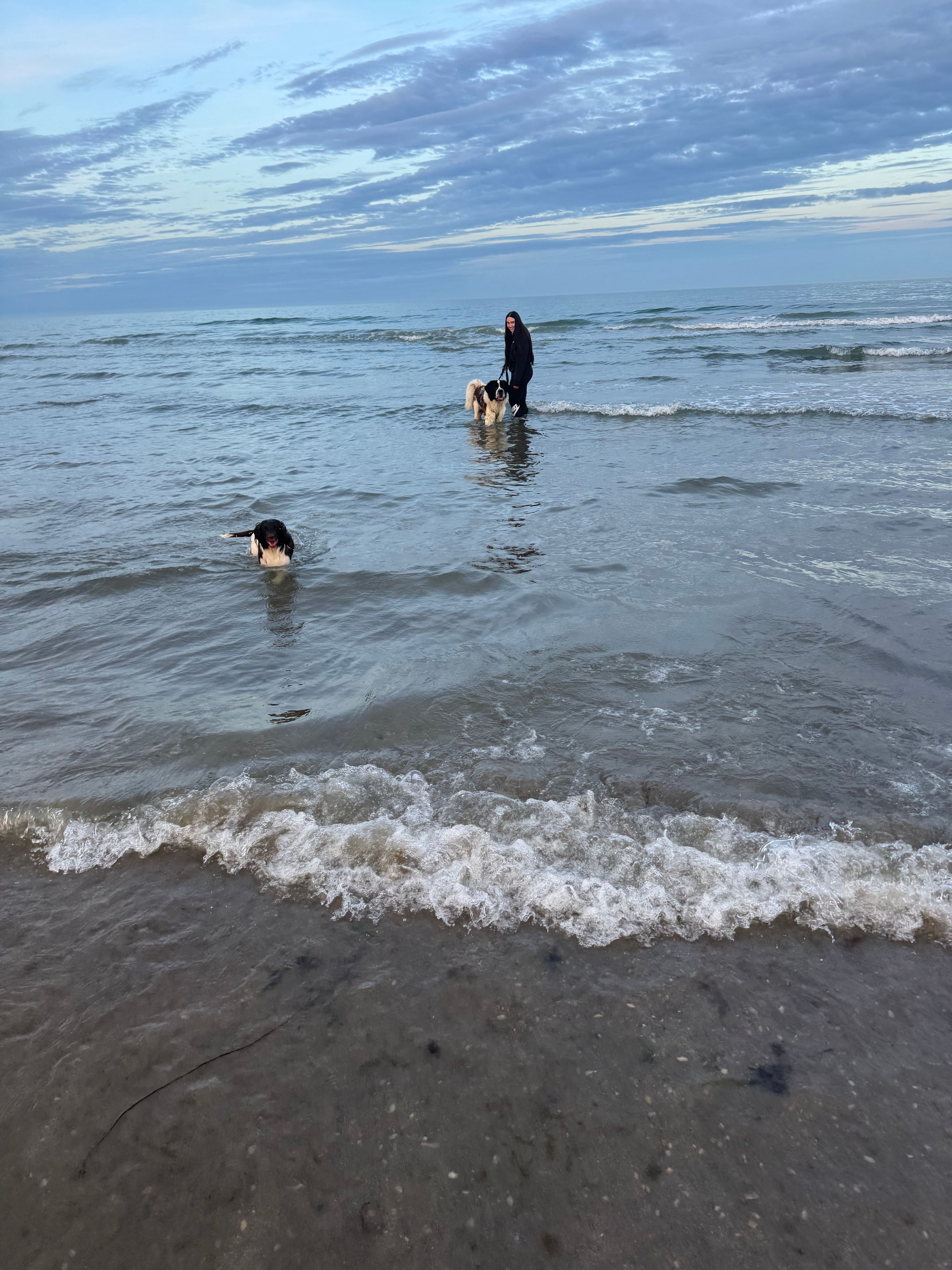 image-9