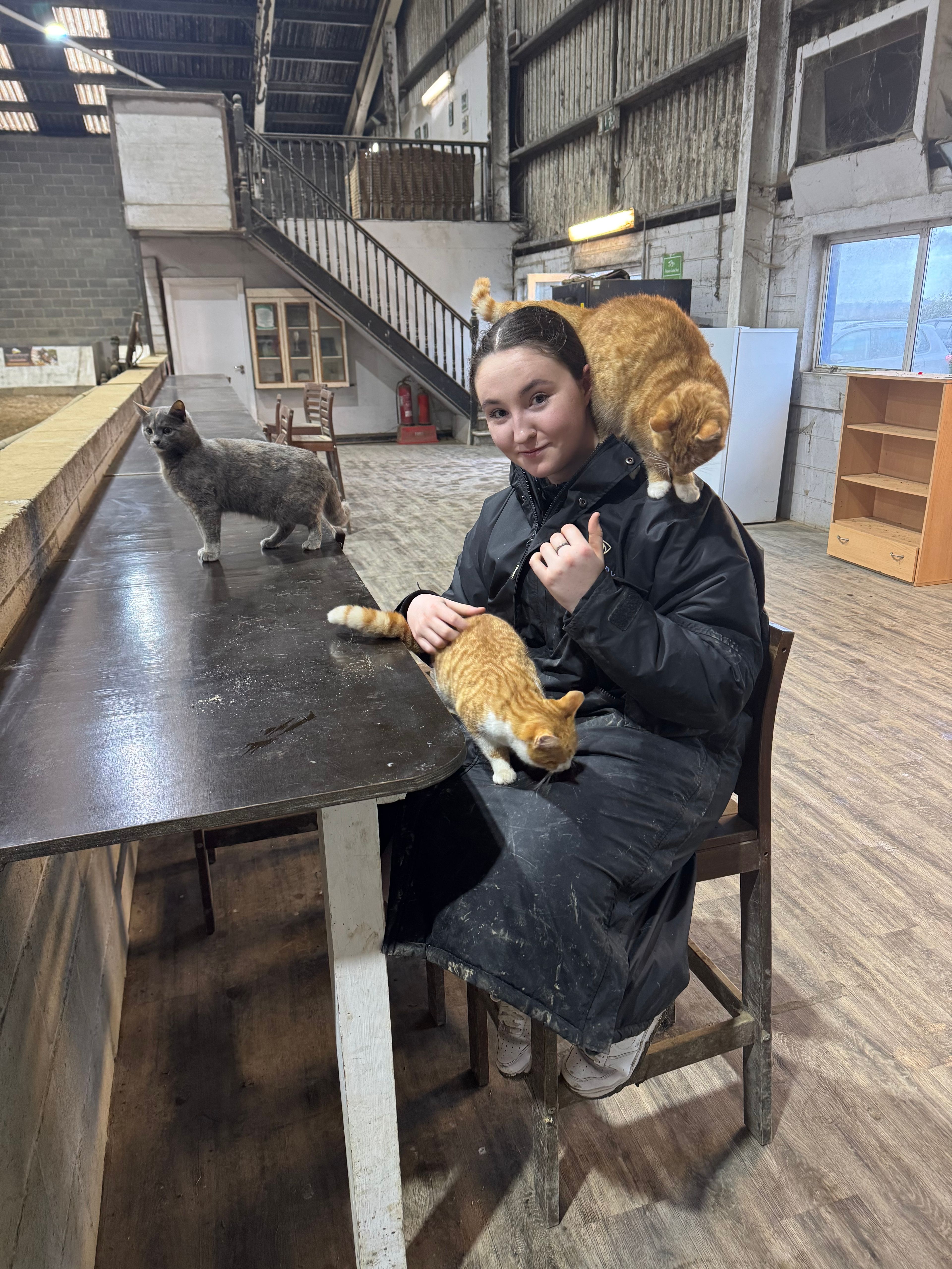 image-6