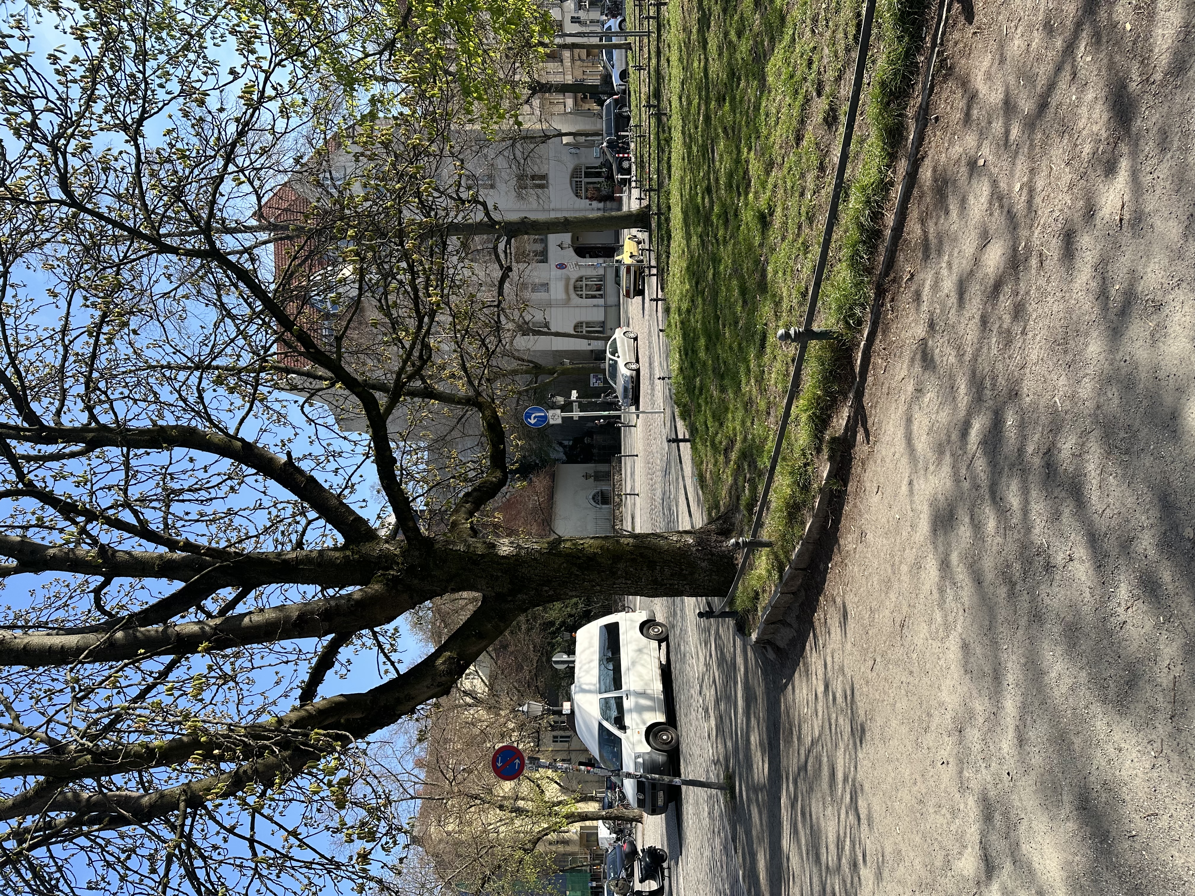 image-21