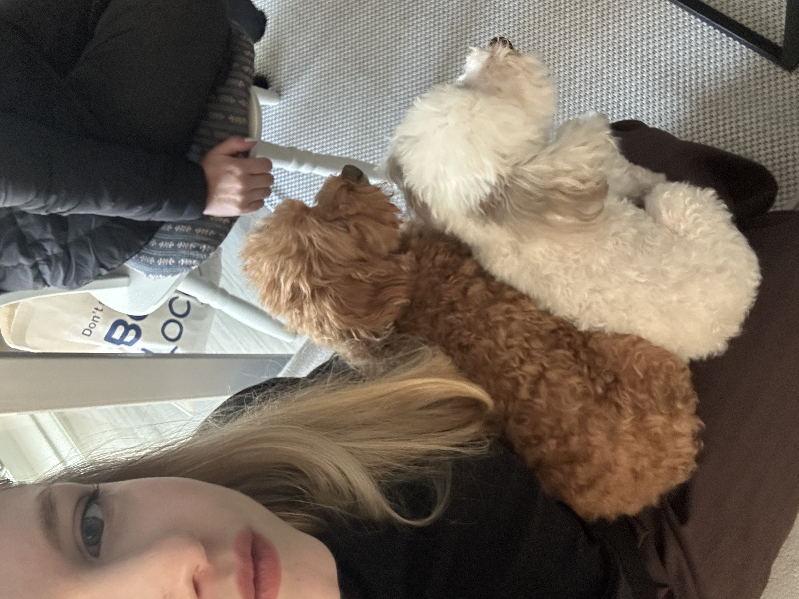 image-6