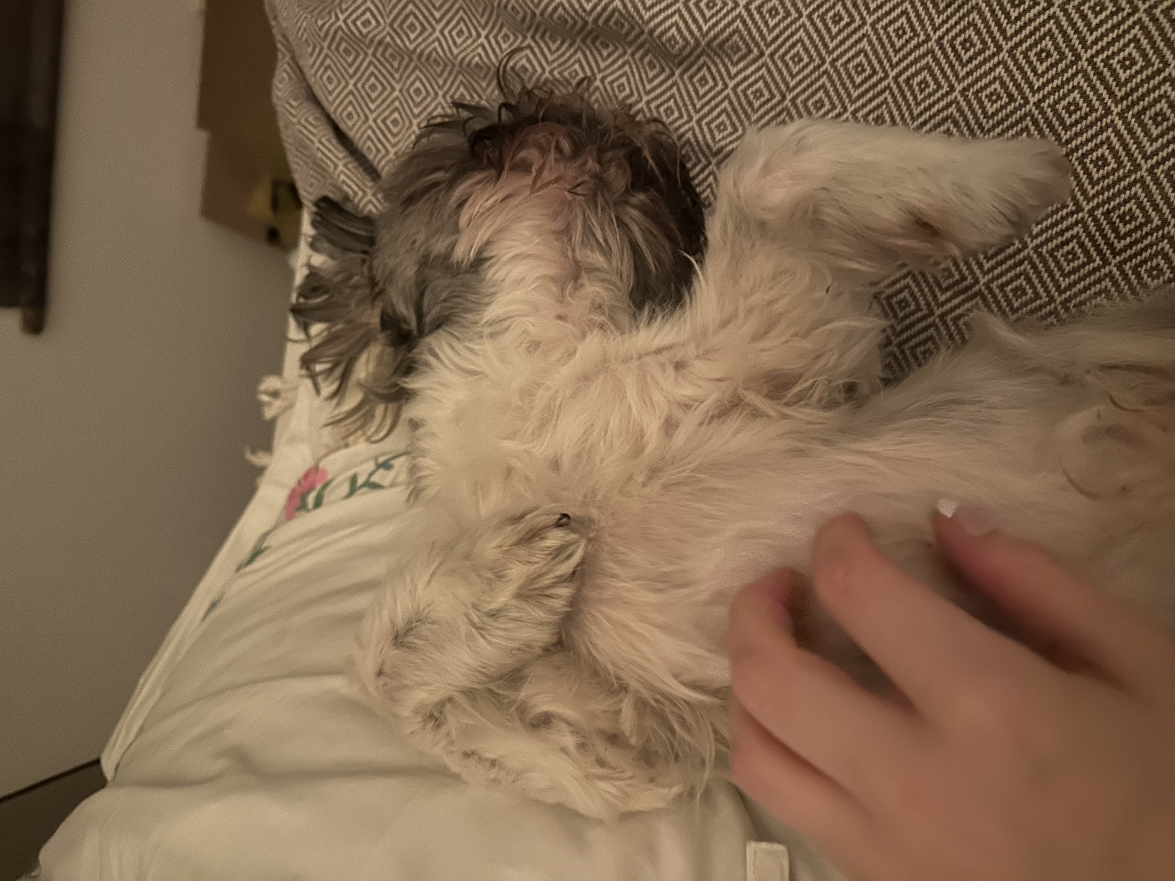 image-9
