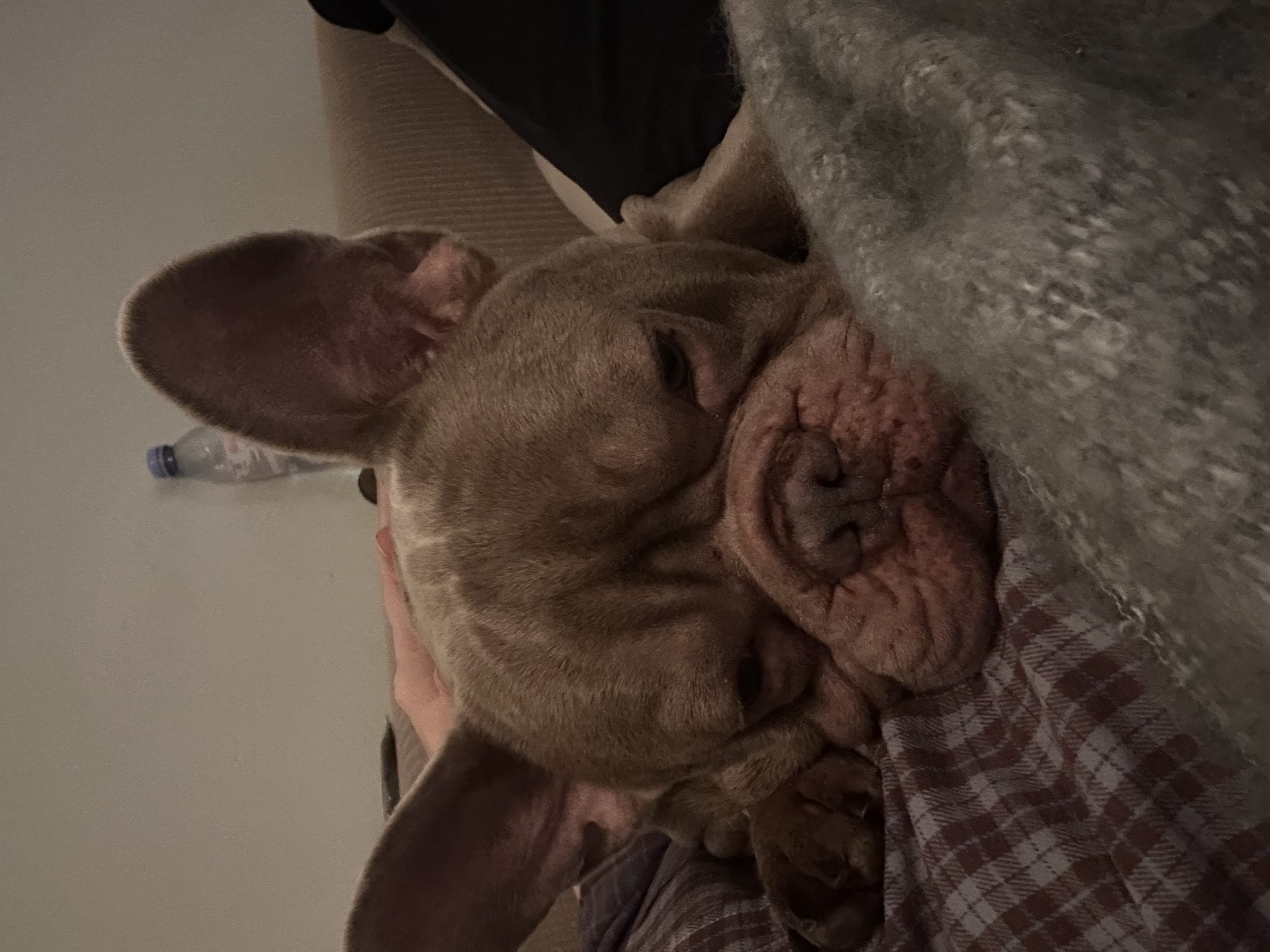 image-8