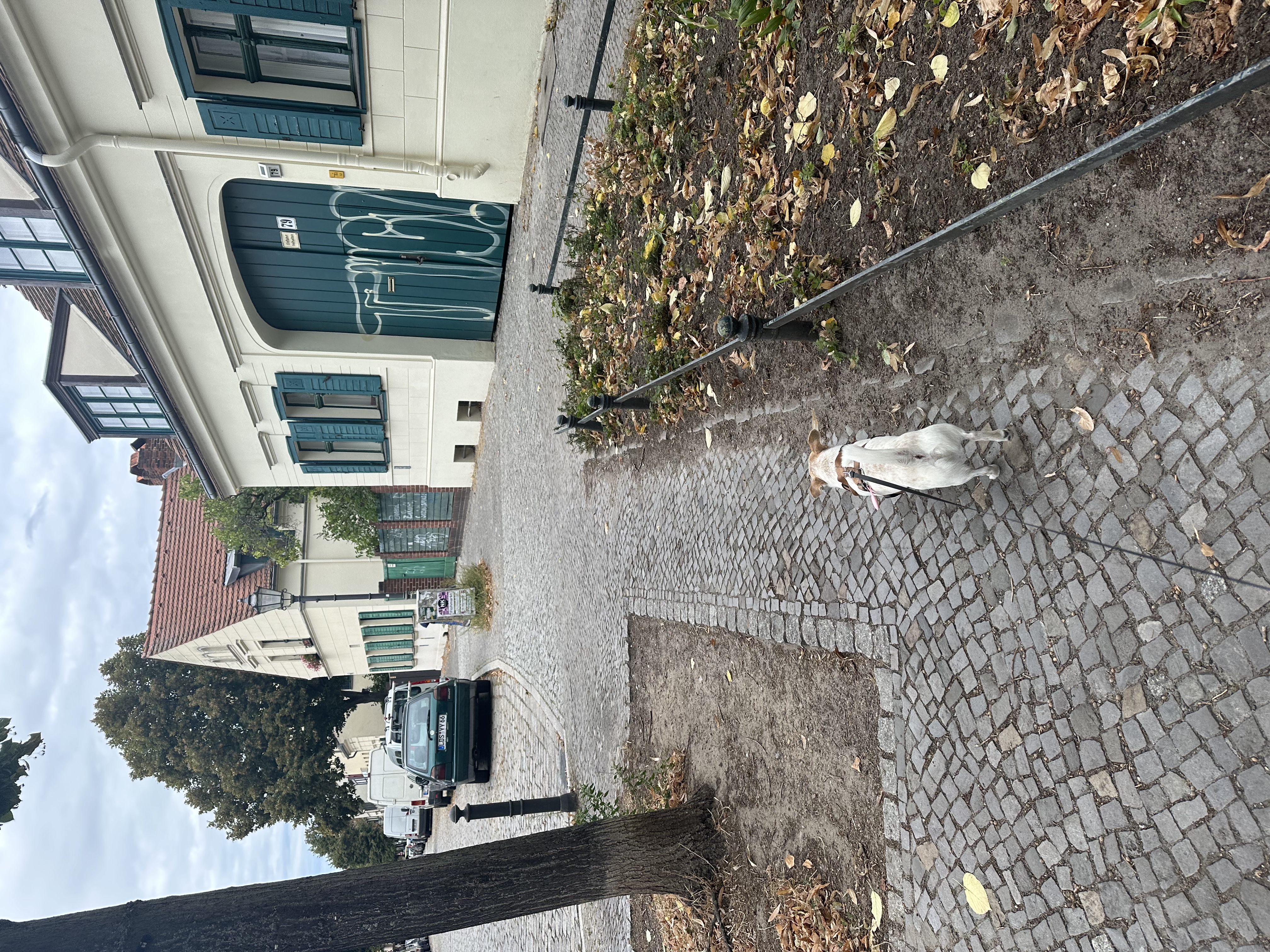 image-19